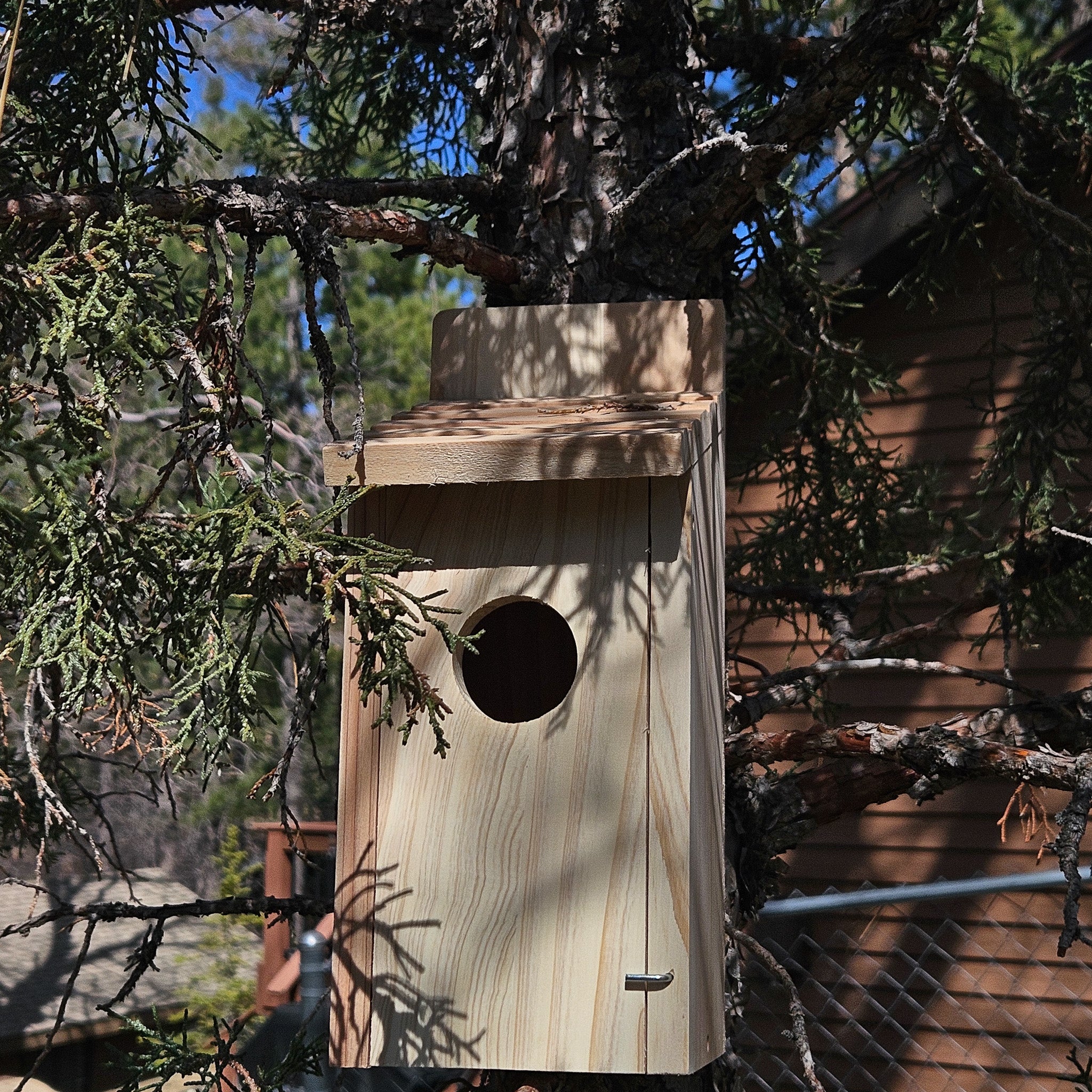 Raw Wood Bird House with Swinging Door