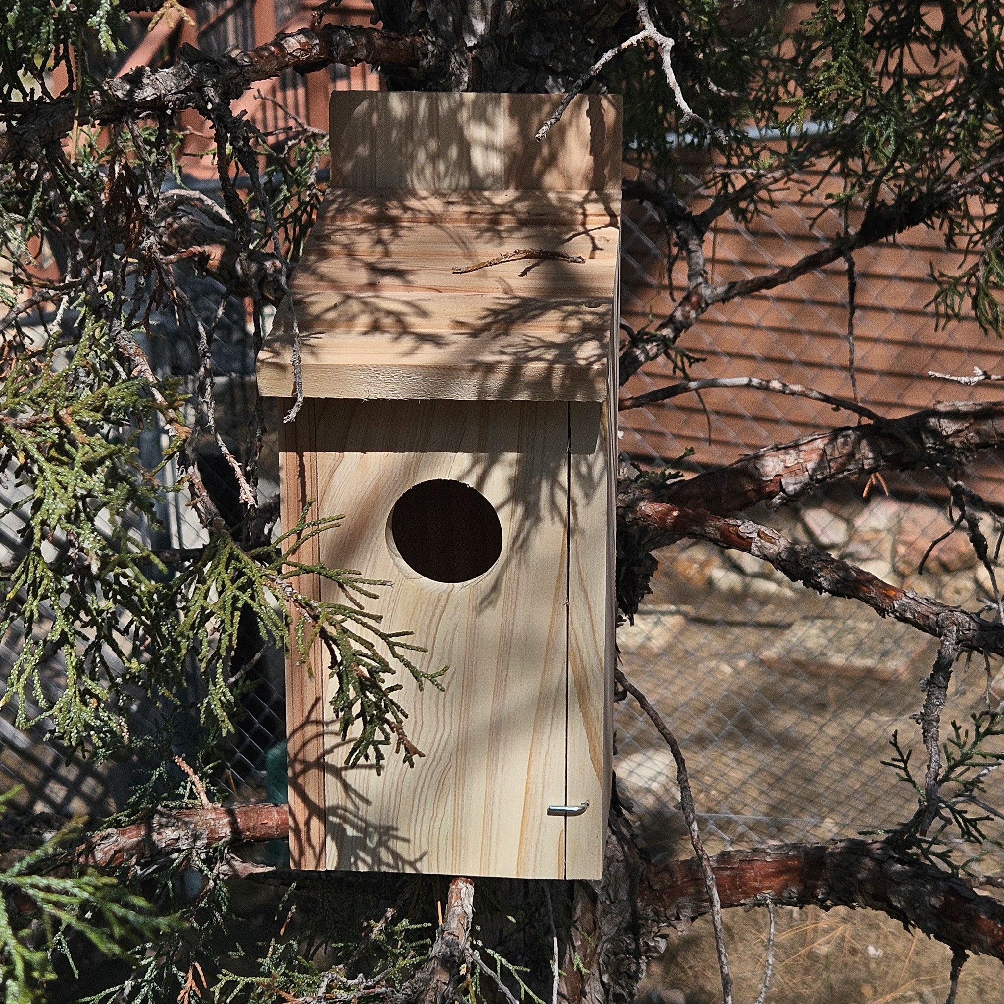 Raw Wood Bird House with Swinging Door