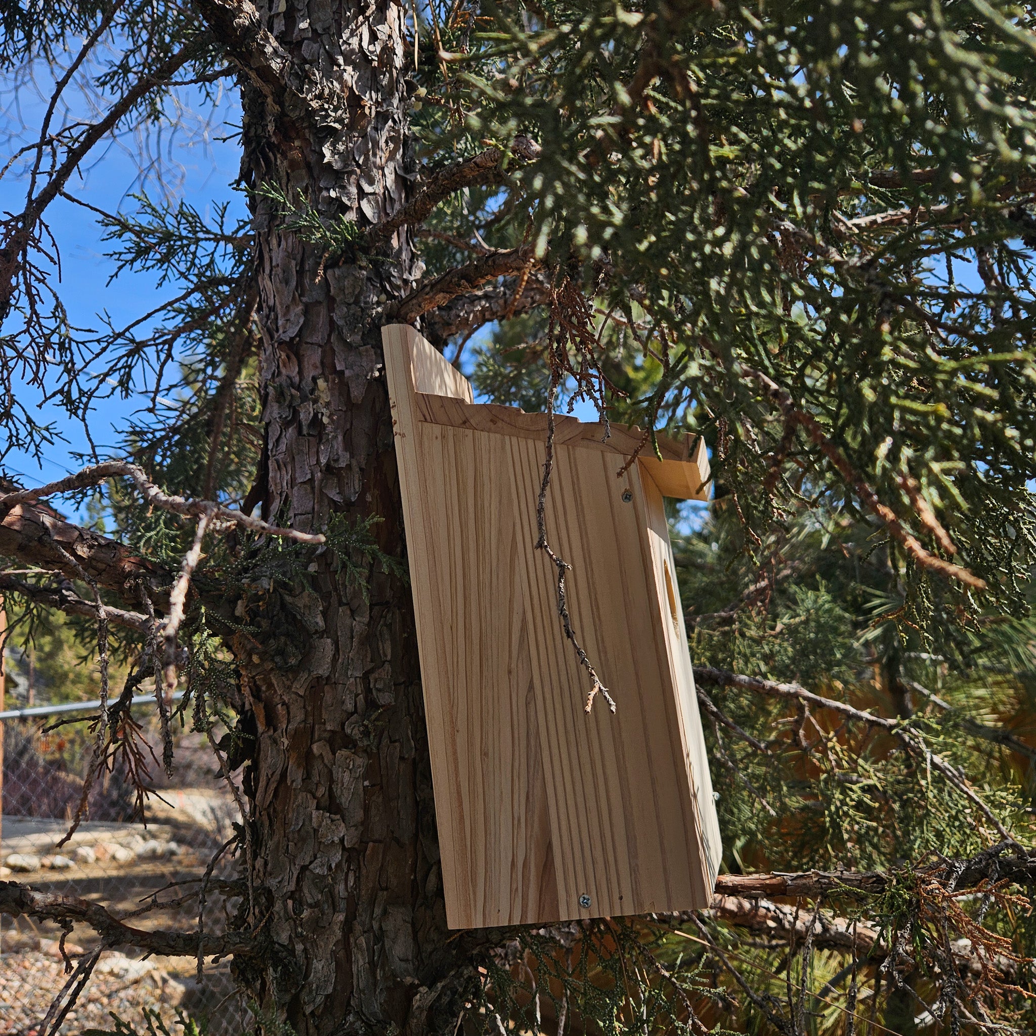 Raw Wood Bird House with Swinging Door