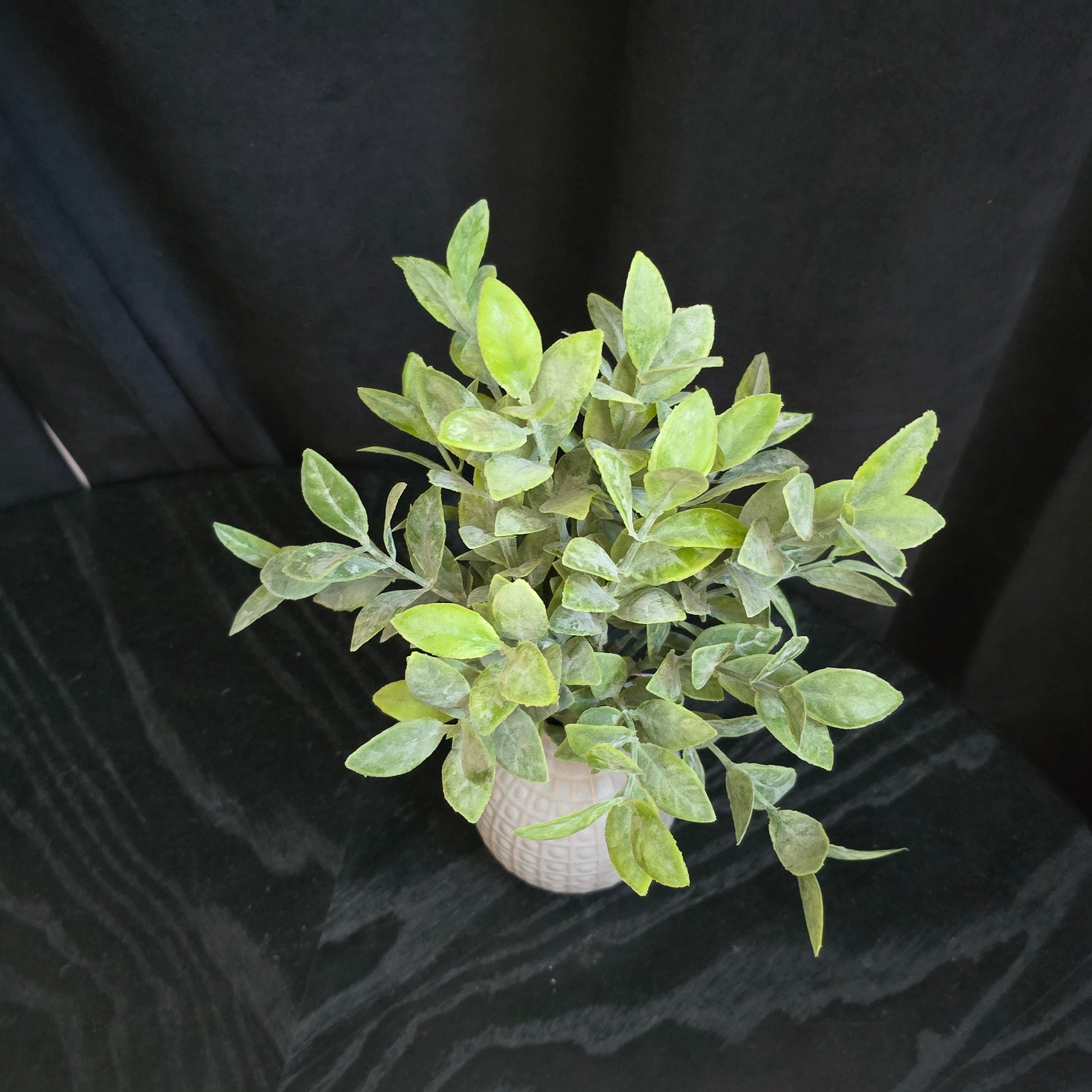 Powdered Tea Leaf in Grey Square Dot Ceramic Vase