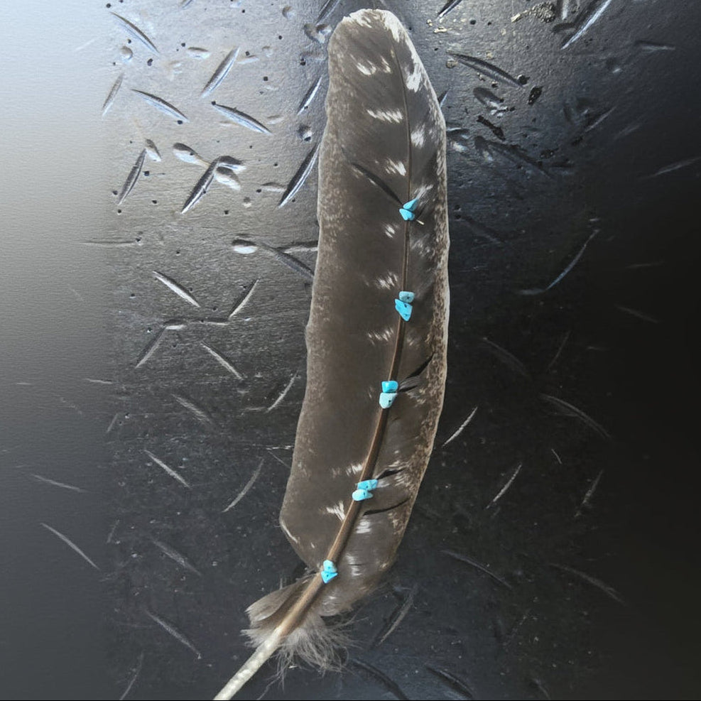Exquisite Turkey Feather Adorned with Turquoise Accents
