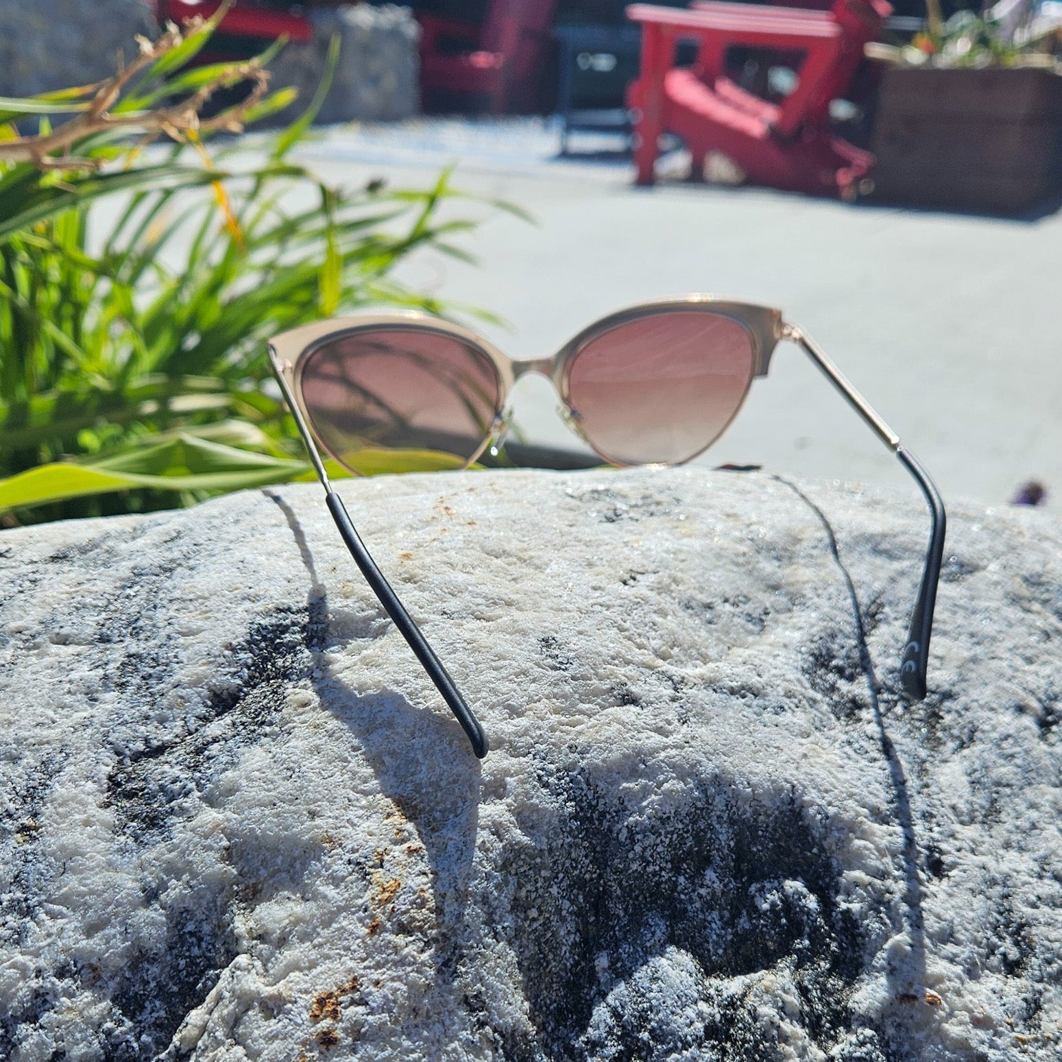 Foster Grant Melbourne Sunglasses