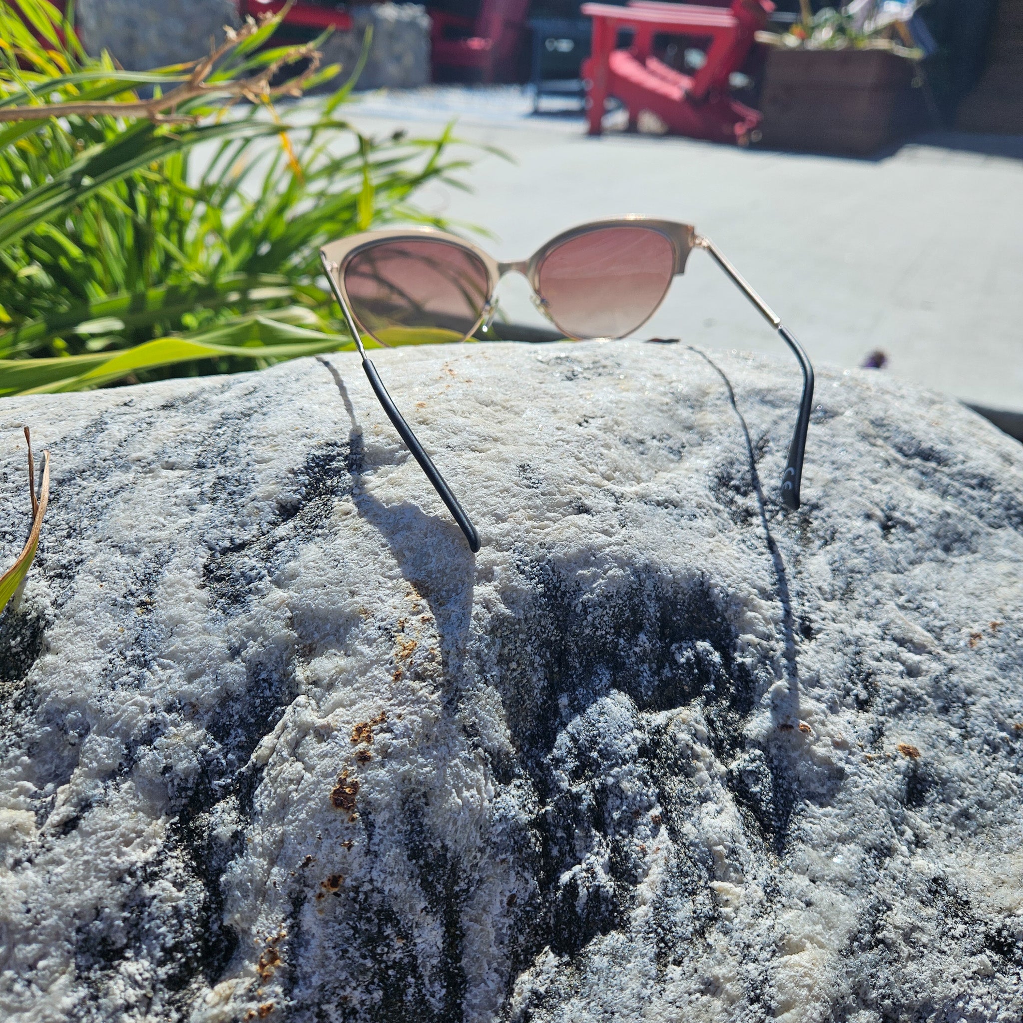 Foster Grant Melbourne Sunglasses