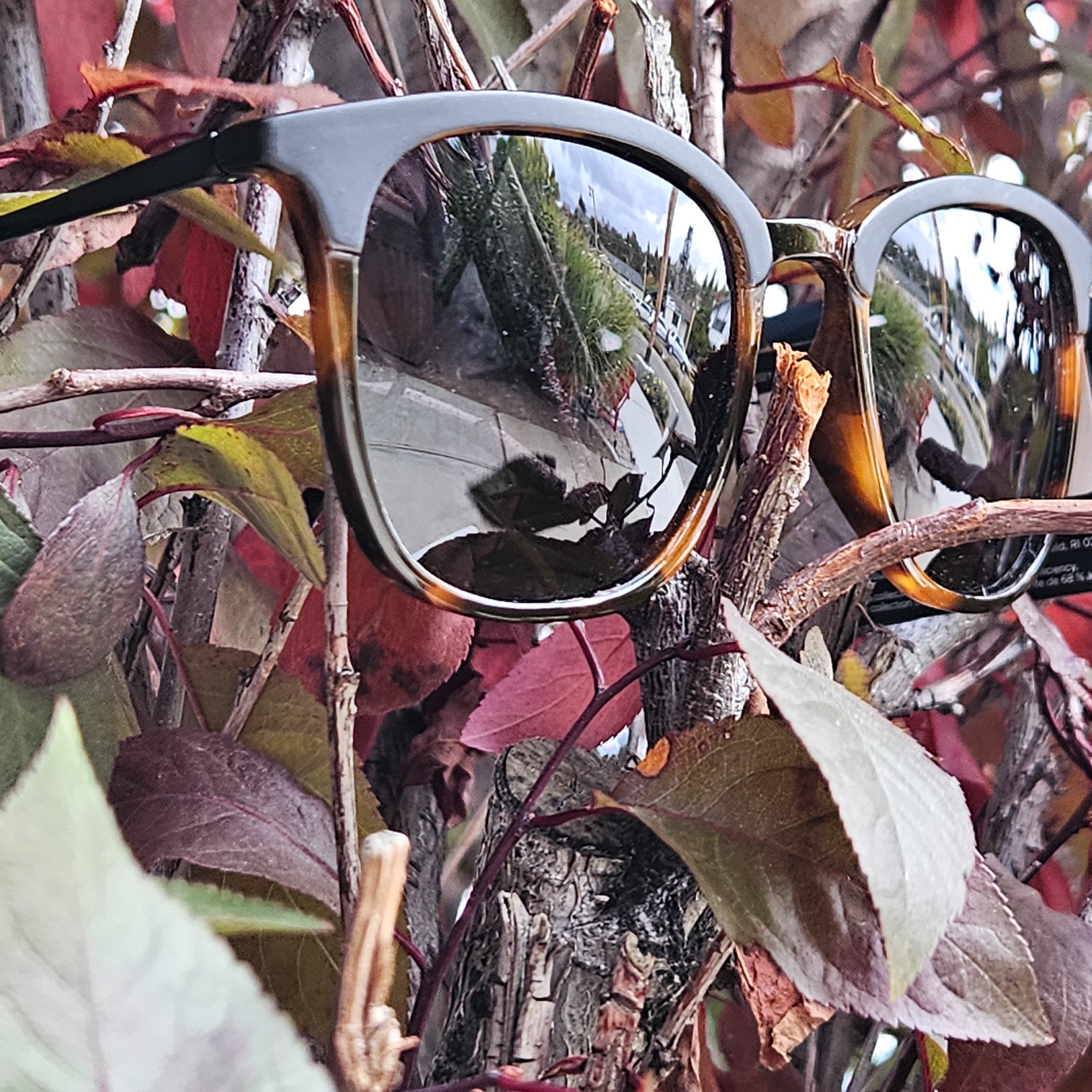 Foster Grant Marli Polarized for Digital Sunglasses