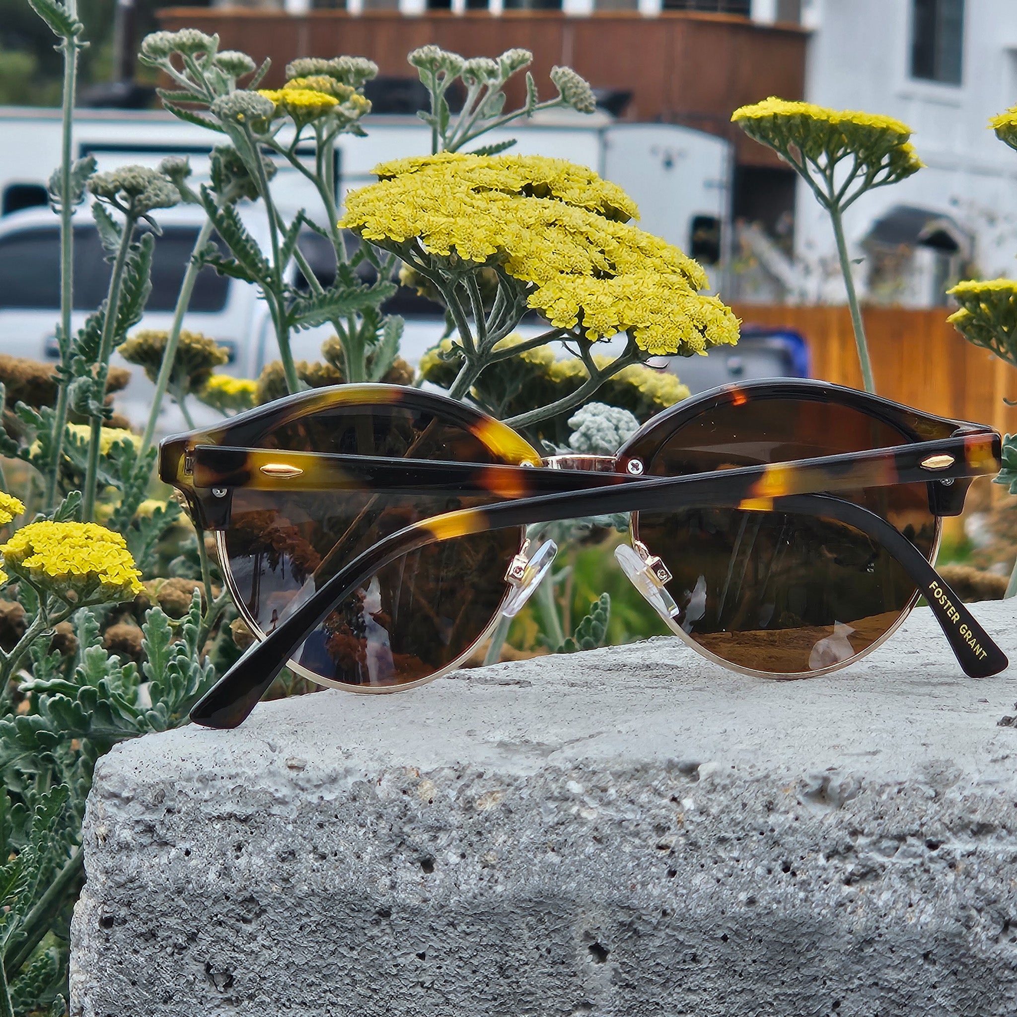 Foster Grant Max Block Brown Round Metal Frames Sunglasses