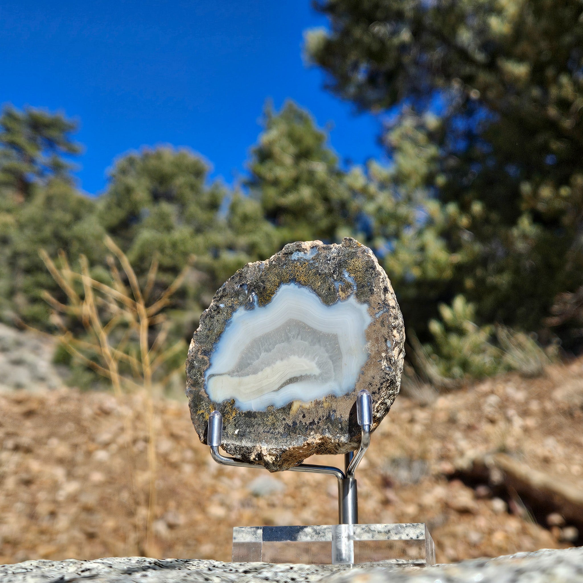 Stunning Blue Agate Geode