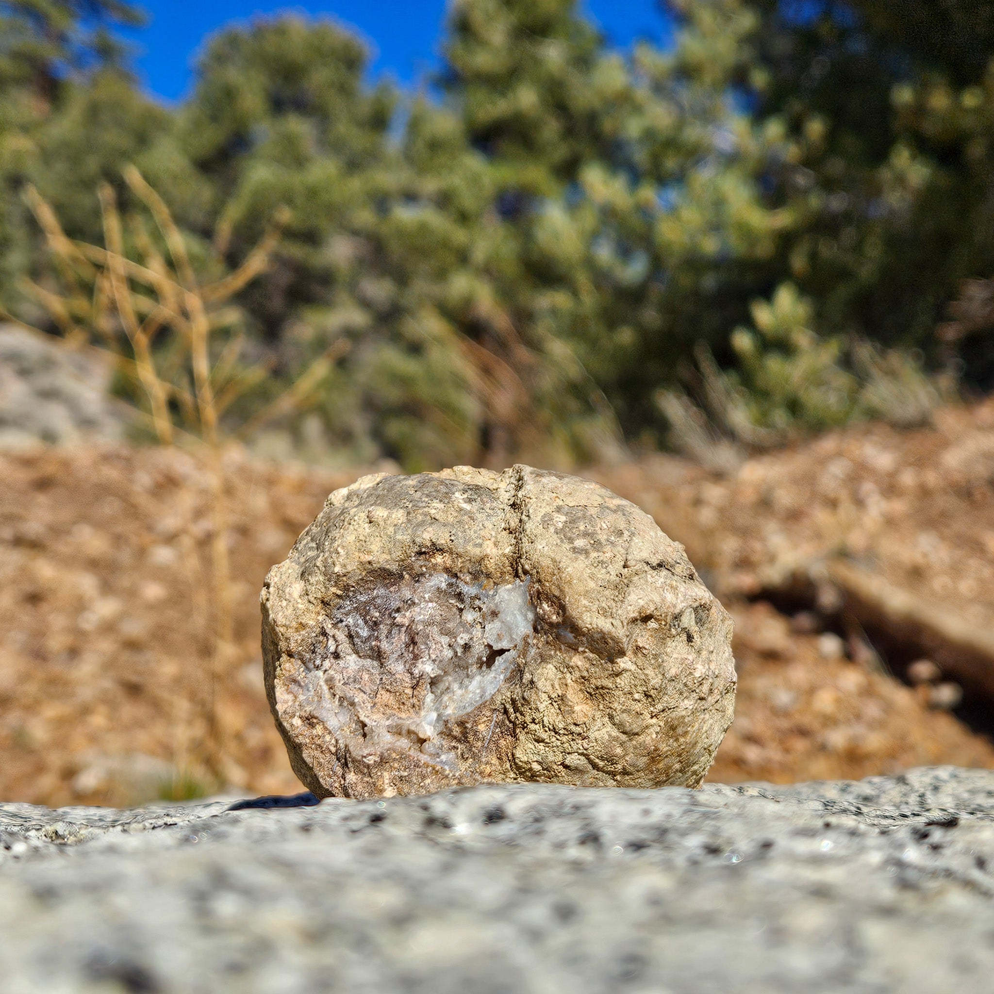 Lovley Natural Geode Rock
