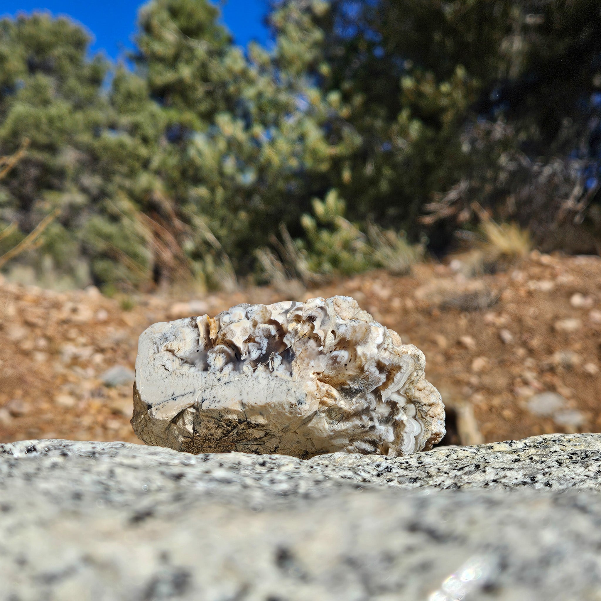 Beautiful Raw Agate Stone