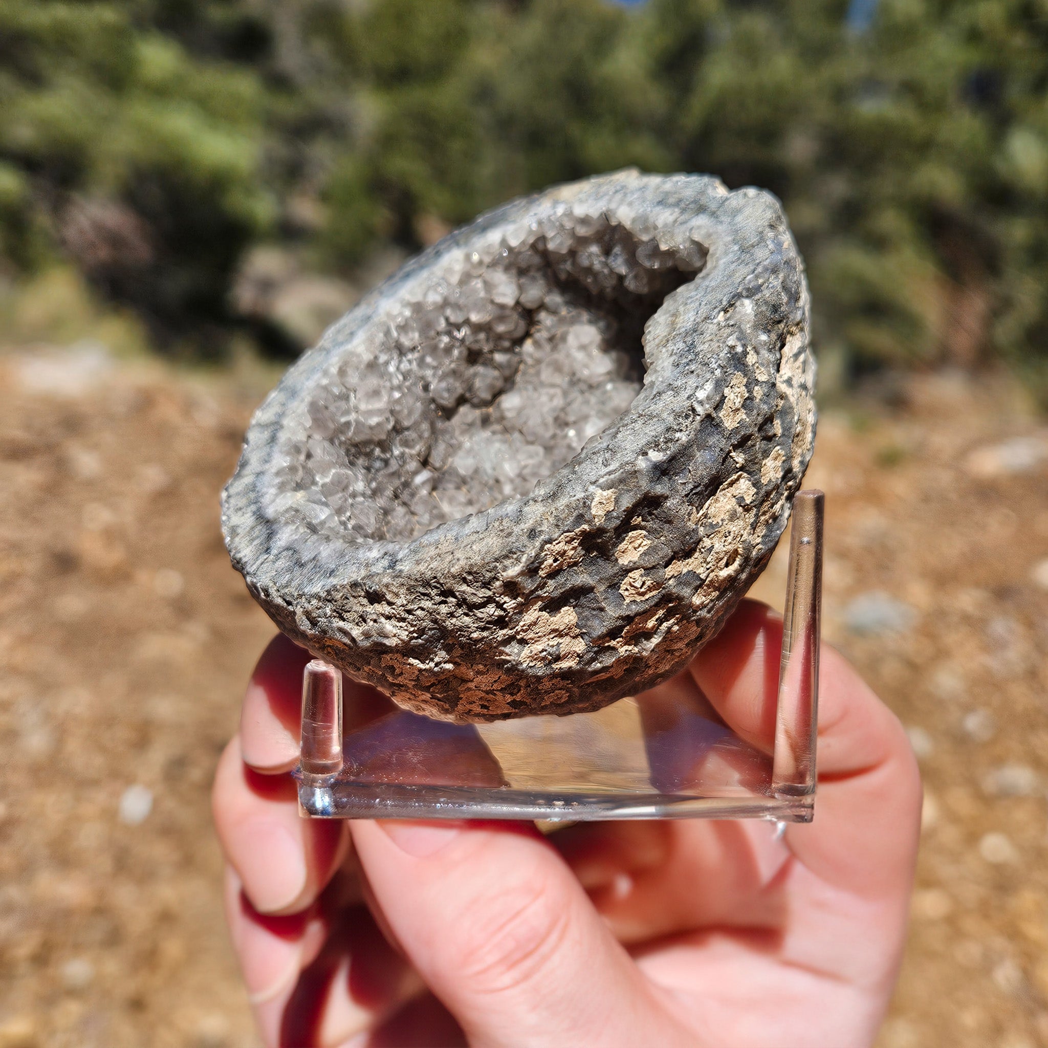 Captivating Gray Quartz Crystal Geode