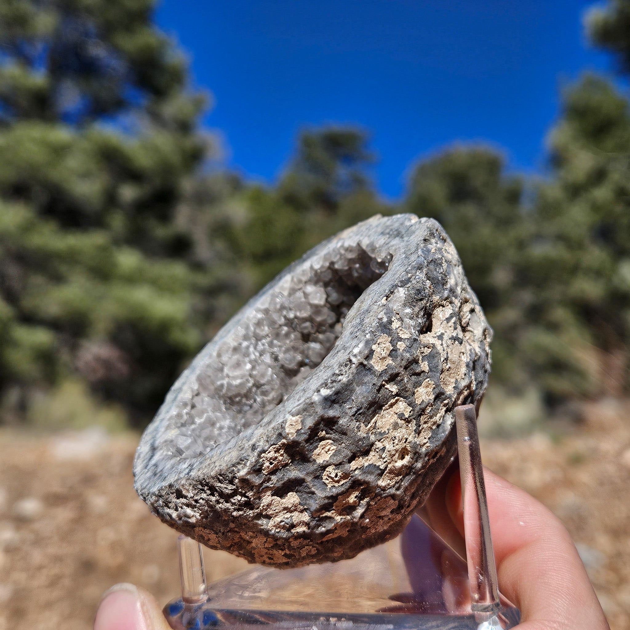 Captivating Gray Quartz Crystal Geode