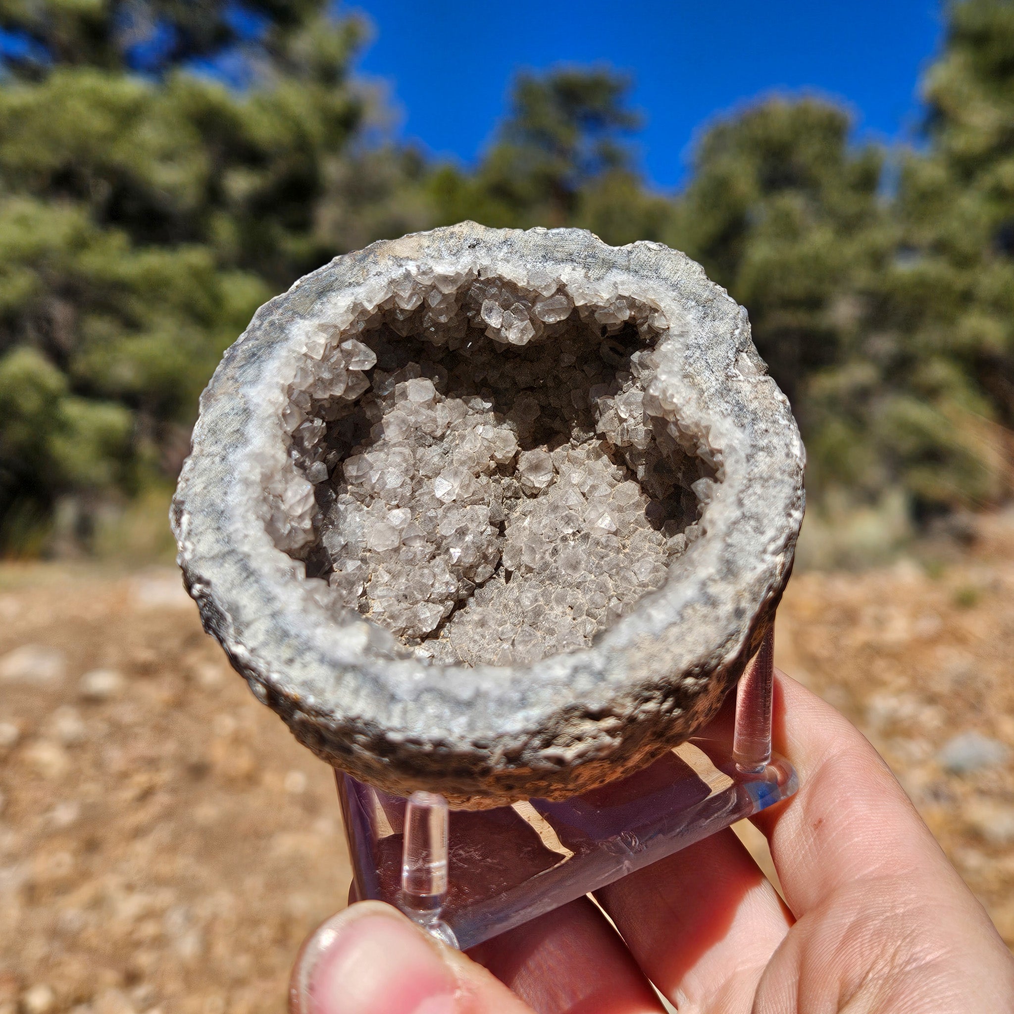 Captivating Gray Quartz Crystal Geode