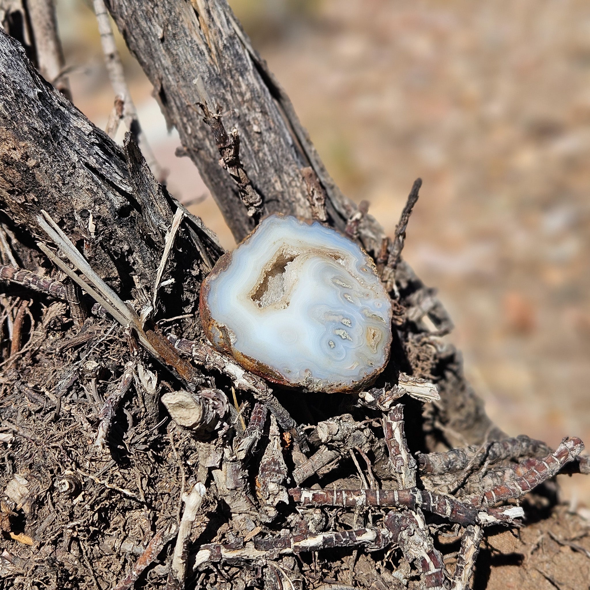 Beautiful Gray Agate Geode
