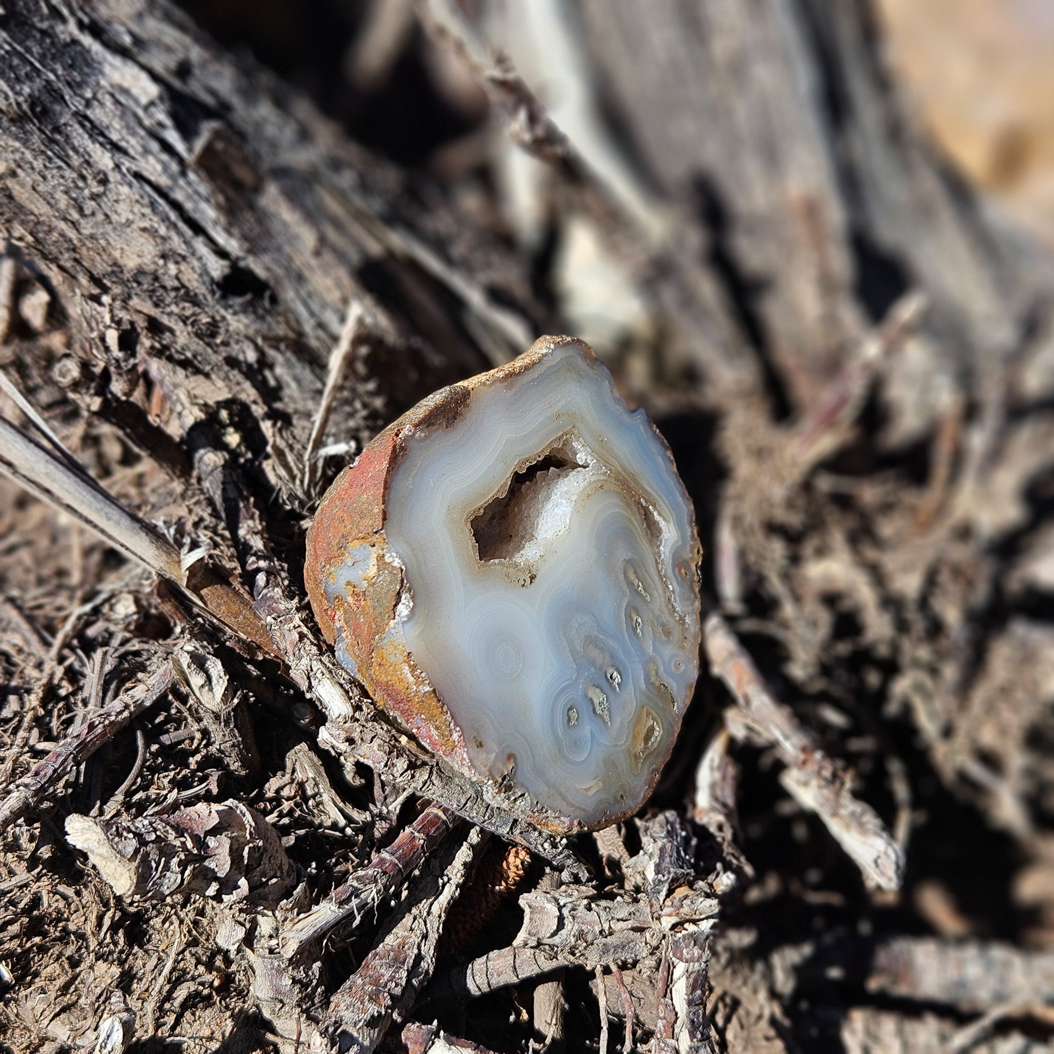 Beautiful Gray Agate Geode