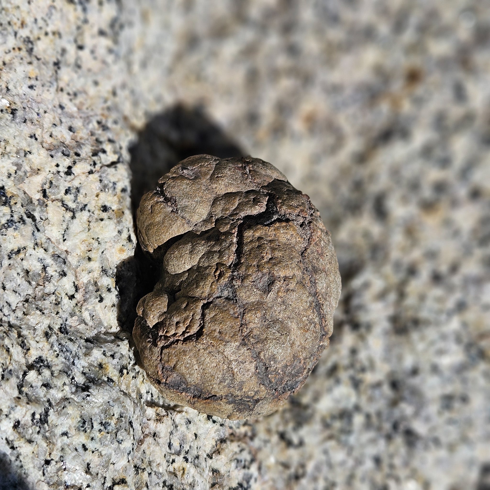 Unique Unbroken Raw Geode