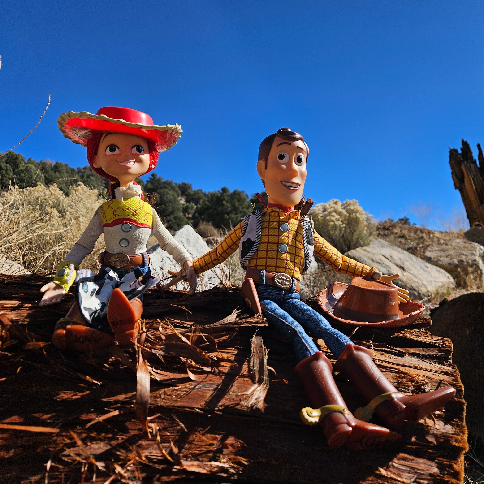 Disney Pixar Toy Story Woody and Jessie Doll Figure