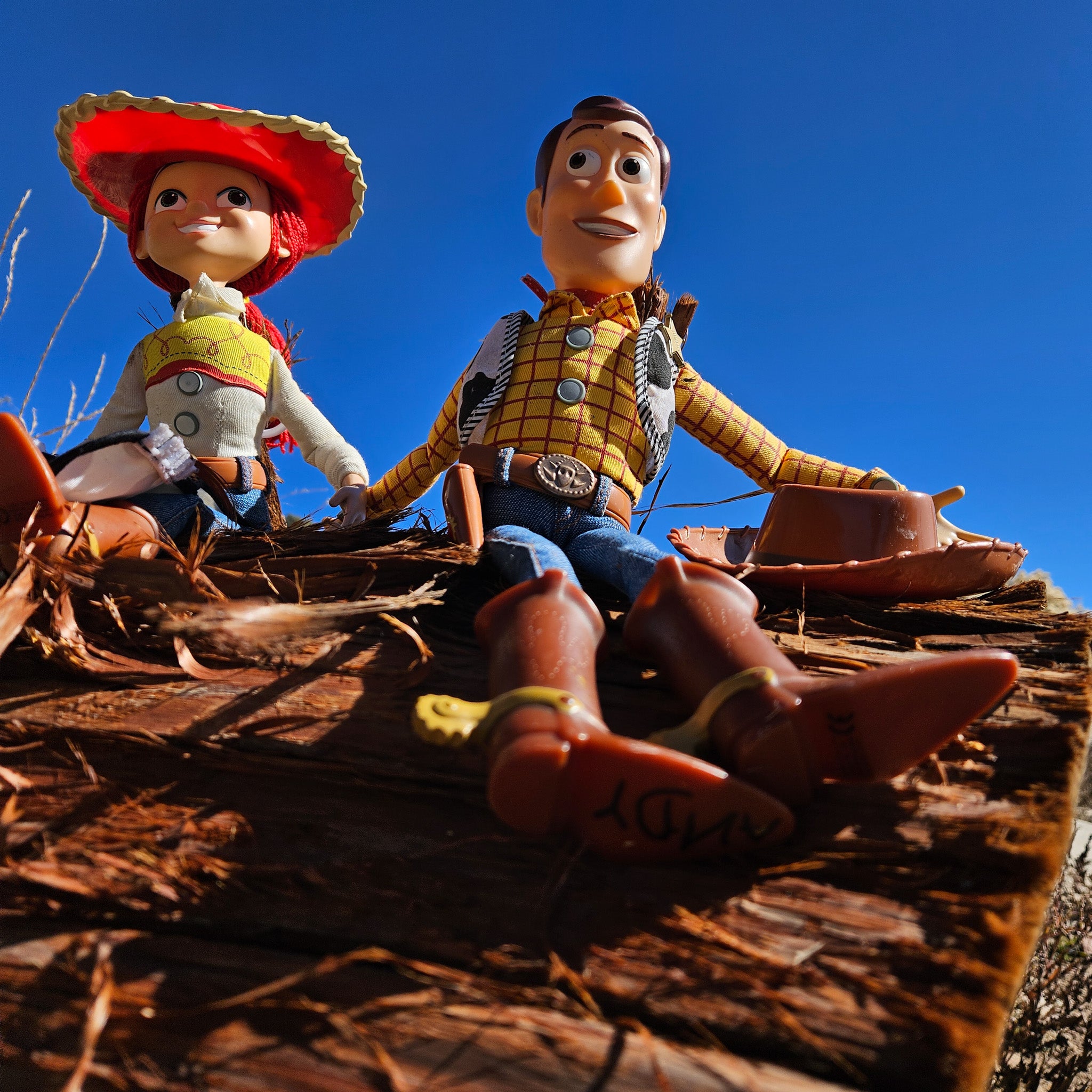 Disney Pixar Toy Story Woody and Jessie Doll Figure
