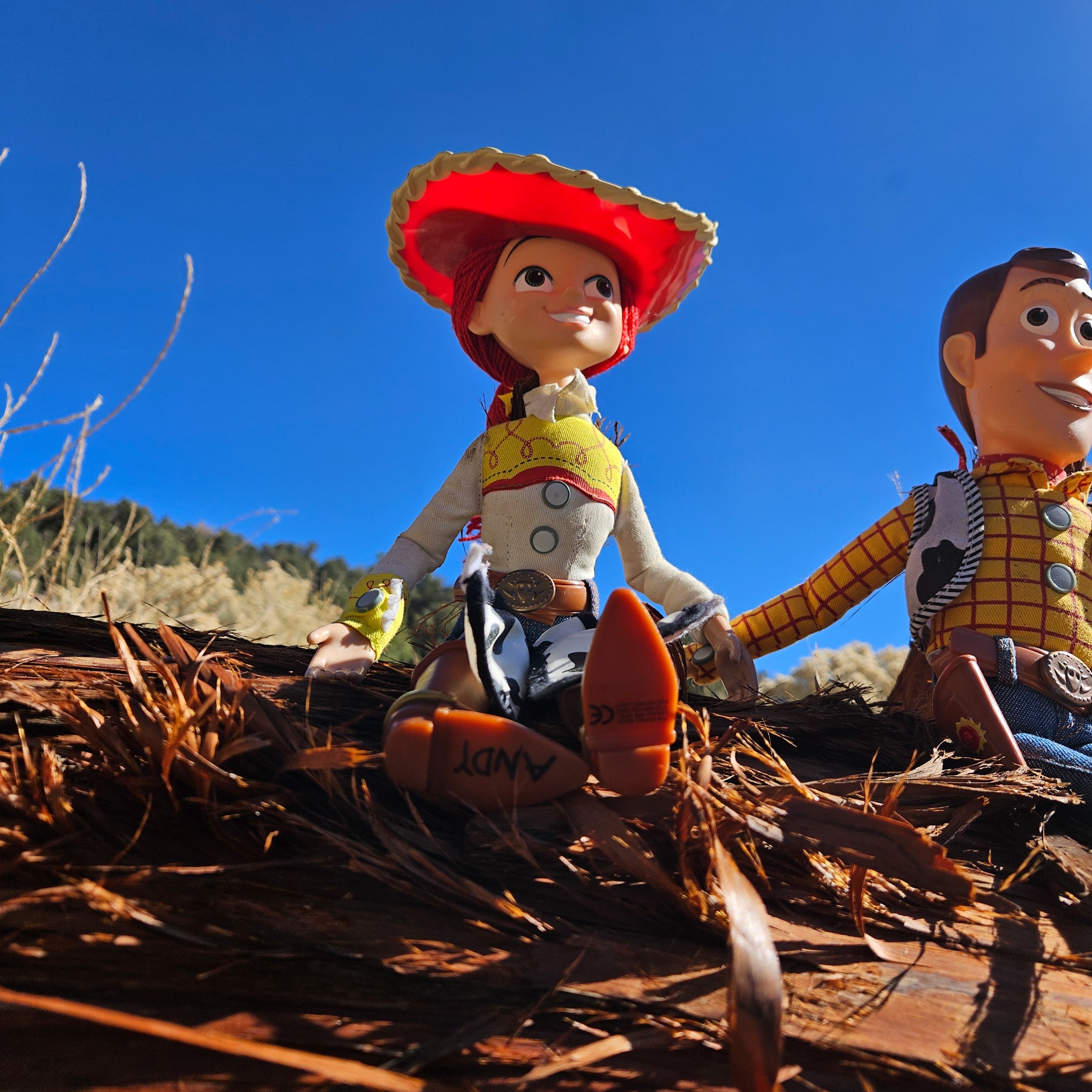 Disney Pixar Toy Story Woody and Jessie Doll Figure