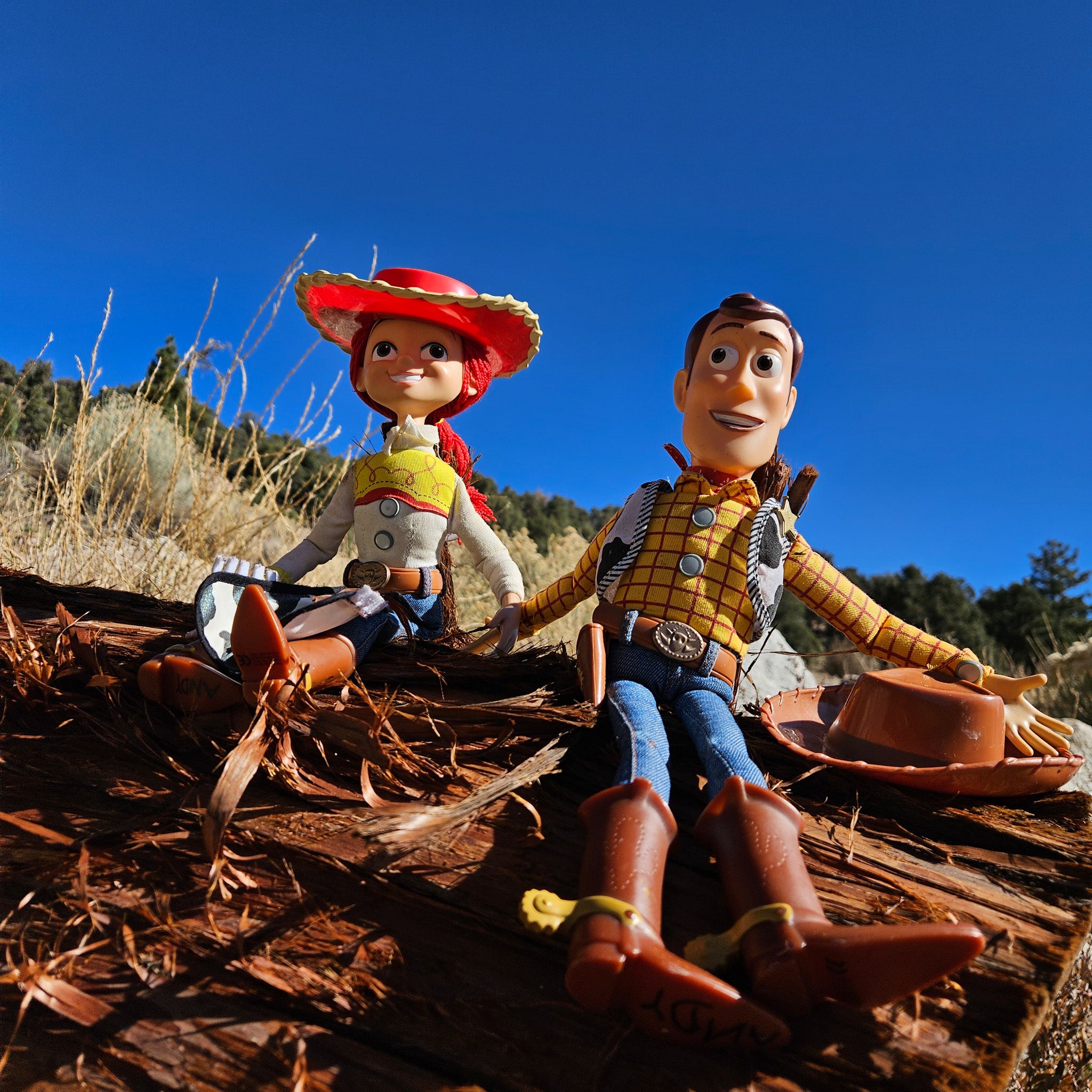 Disney Pixar Toy Story Woody and Jessie Doll Figure