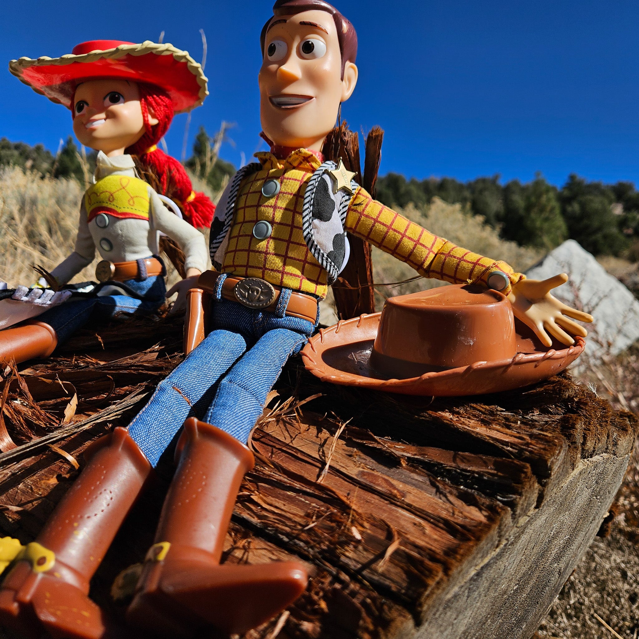 Disney Pixar Toy Story Woody and Jessie Doll Figure