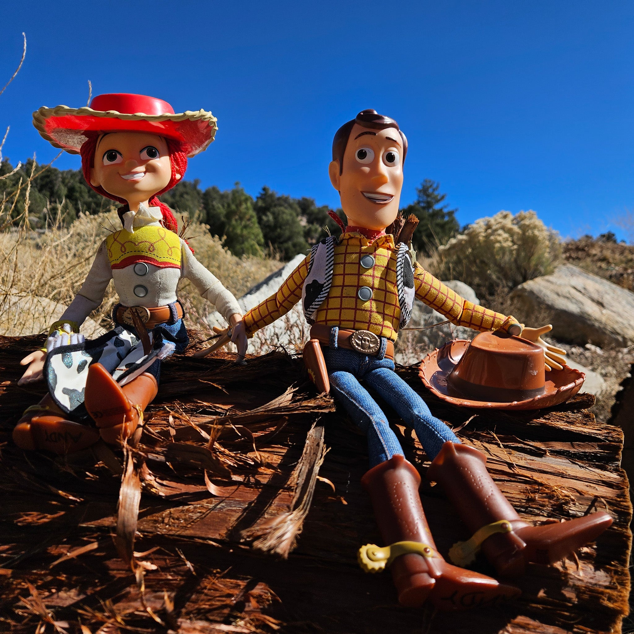 Disney Pixar Toy Story Woody and Jessie Doll Figure