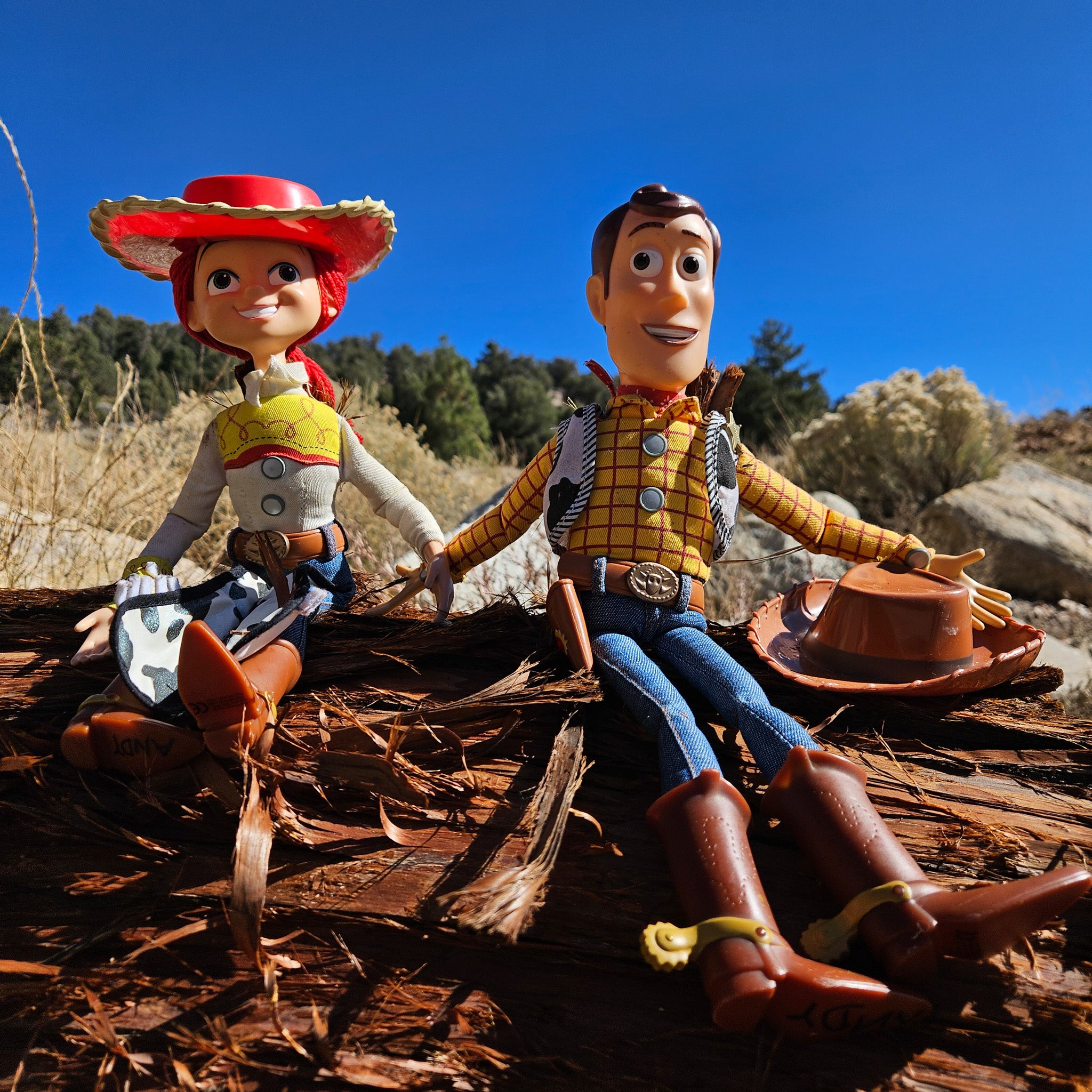 Disney Pixar Toy Story Woody and Jessie Doll Figure