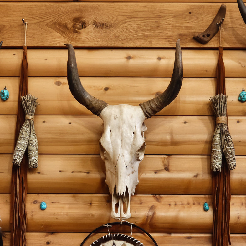 Striking Real Bull Skull