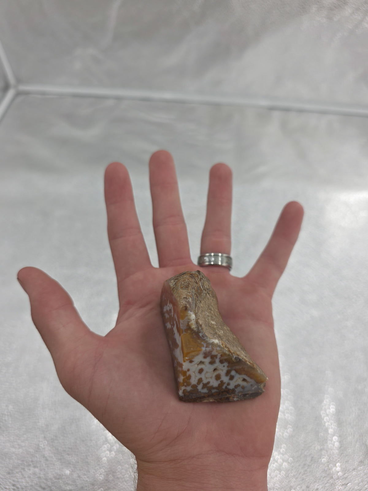 Agua Nueva Moss Agate