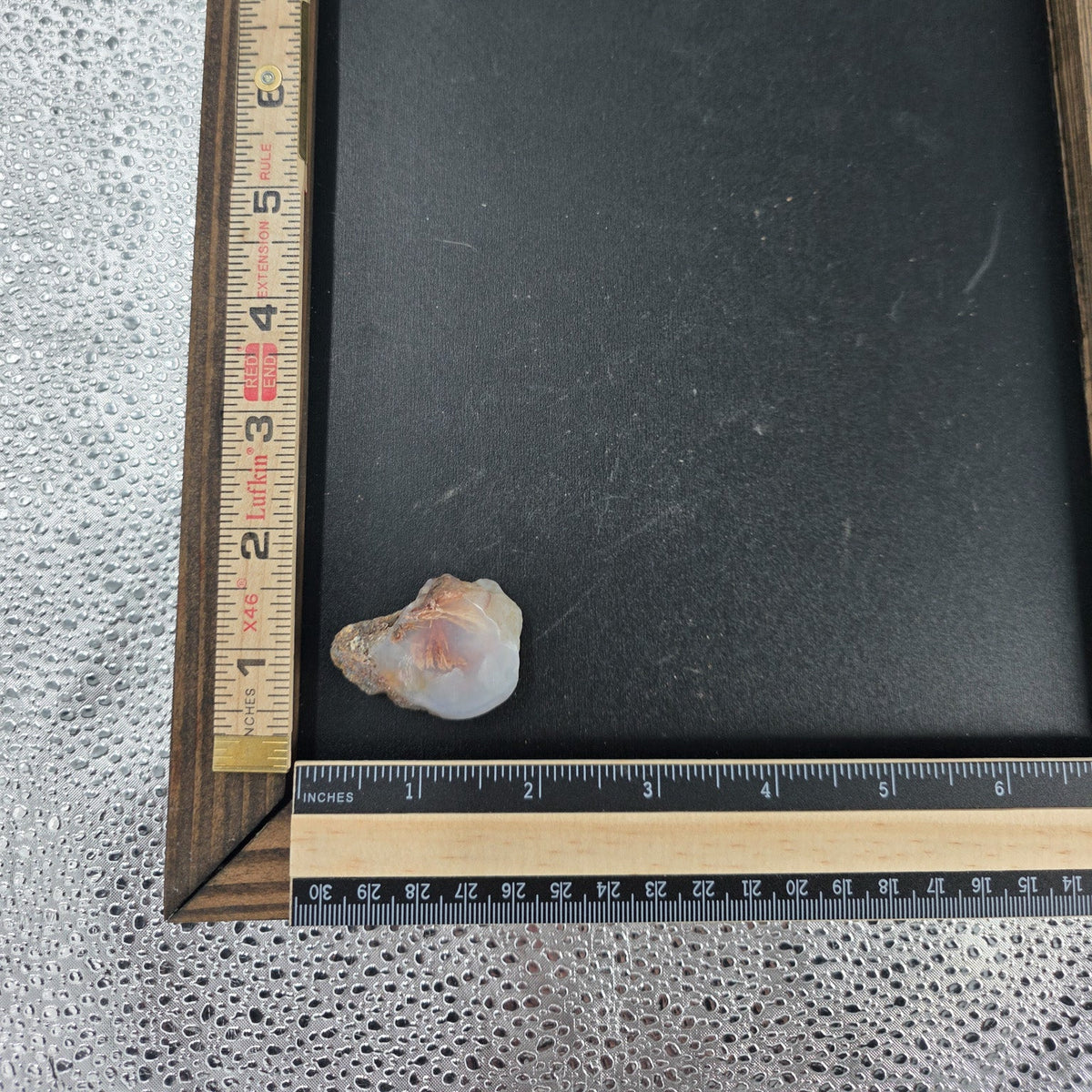Sunburst Sagenite Agate
