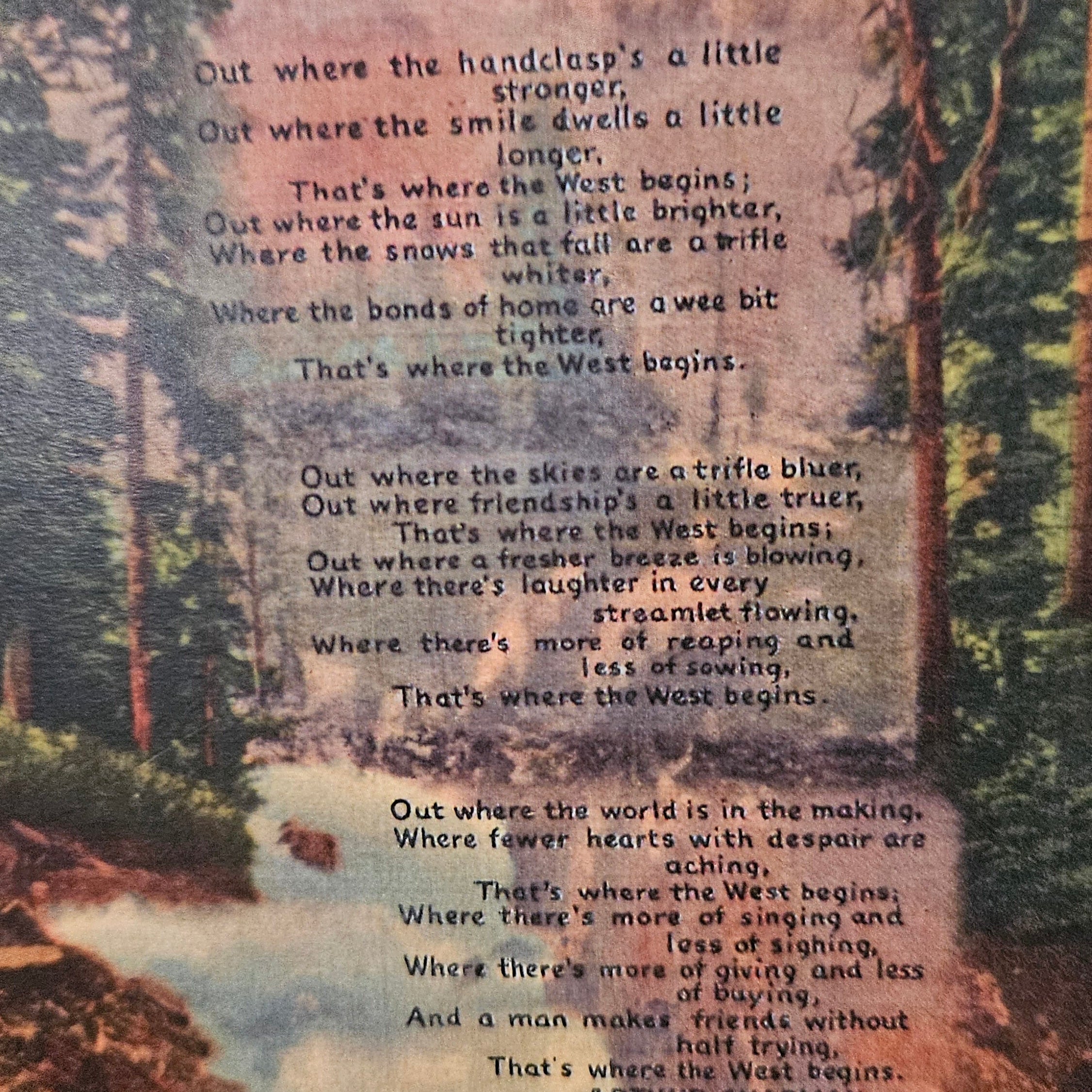 Beautifully Hand Crafted Custom Created Greeting Card Series by Diane Stegman "Out Where the West Begins"