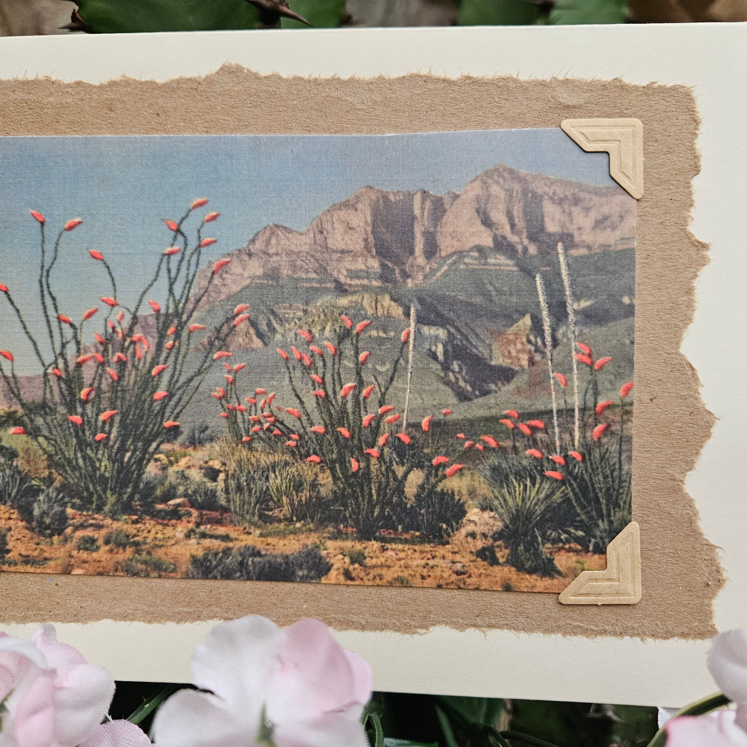 Beautifully Hand Crafted Custom Created Greeting Card Series by Diane Stegman "Ocotillo Cactus in Bloom"