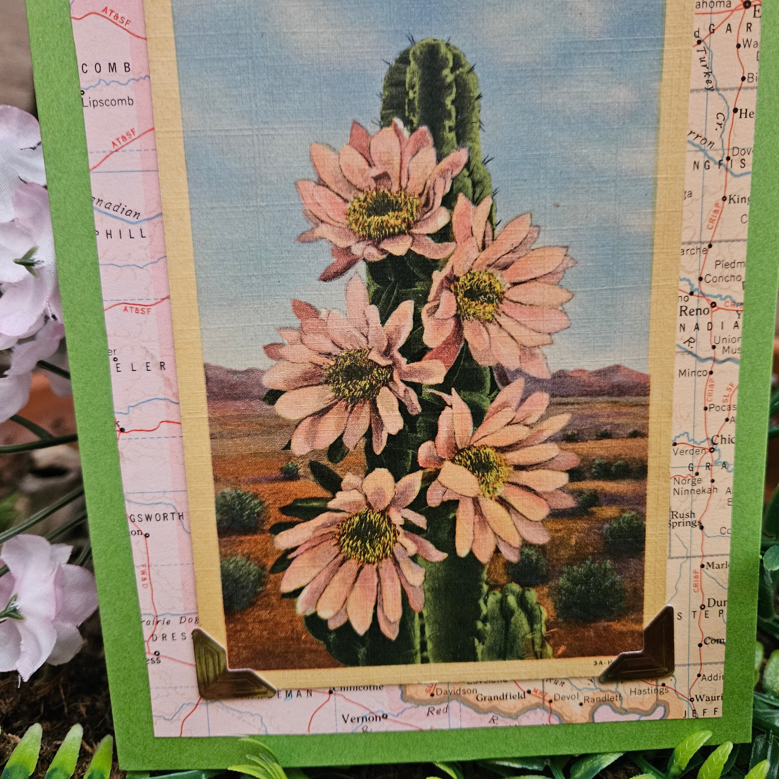 Beautifully Hand Crafted Custom Created Greeting Card Series by Diane Stegman "Cactus in Bloom"