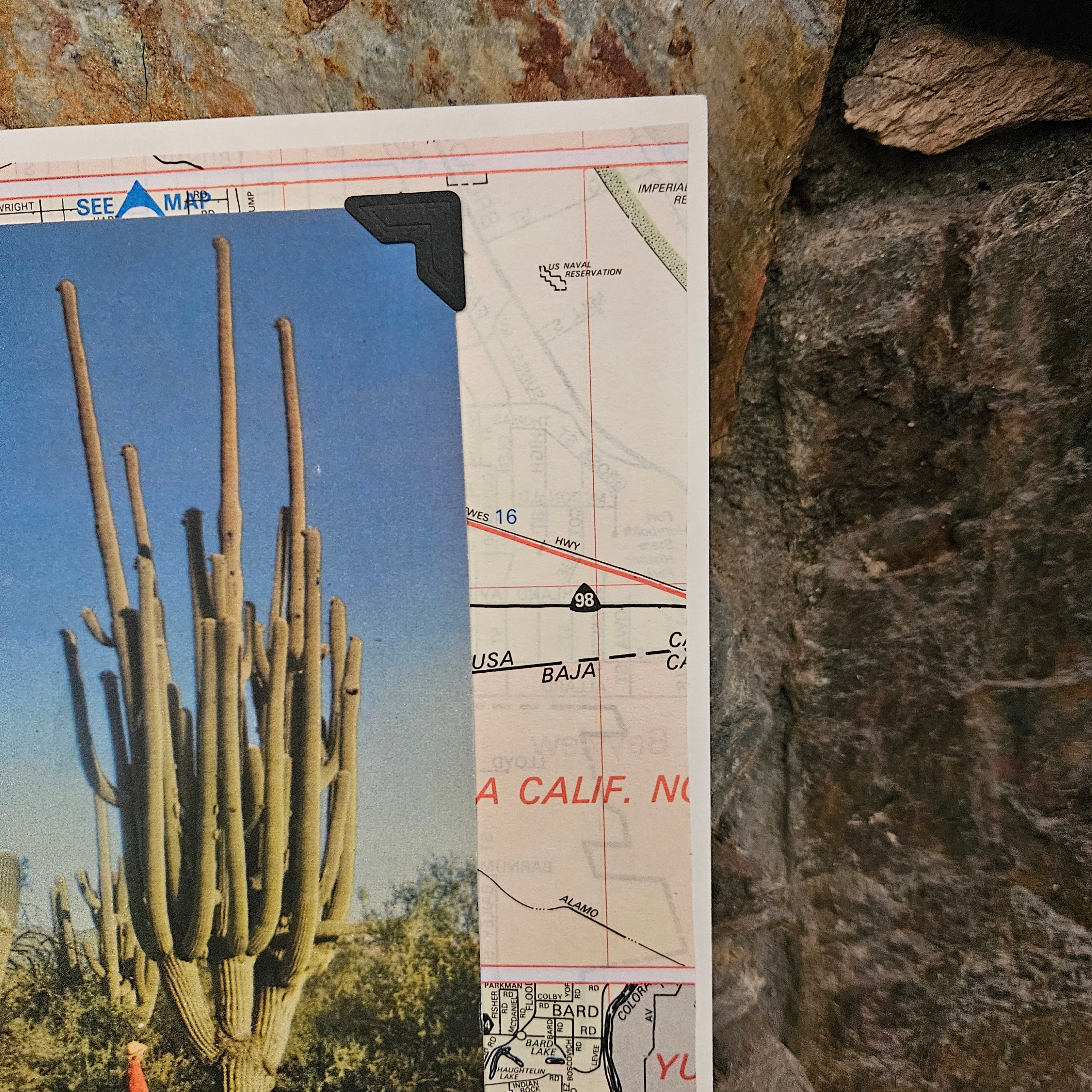 Beautifully Hand Crafted Custom Created Greeting Card Series by Diane Stegman "Giant Saguaro Cactus"