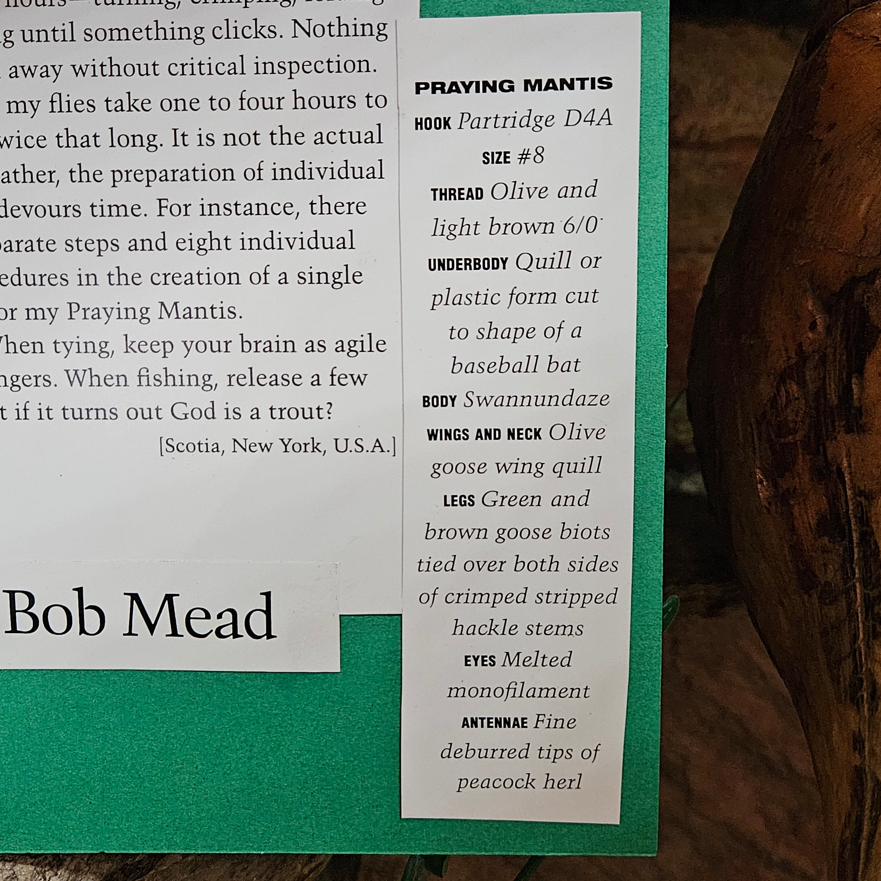 Beautifully Hand Crafted Custom Created Greeting Card Series by Diane Stegman"Praying Mantis"