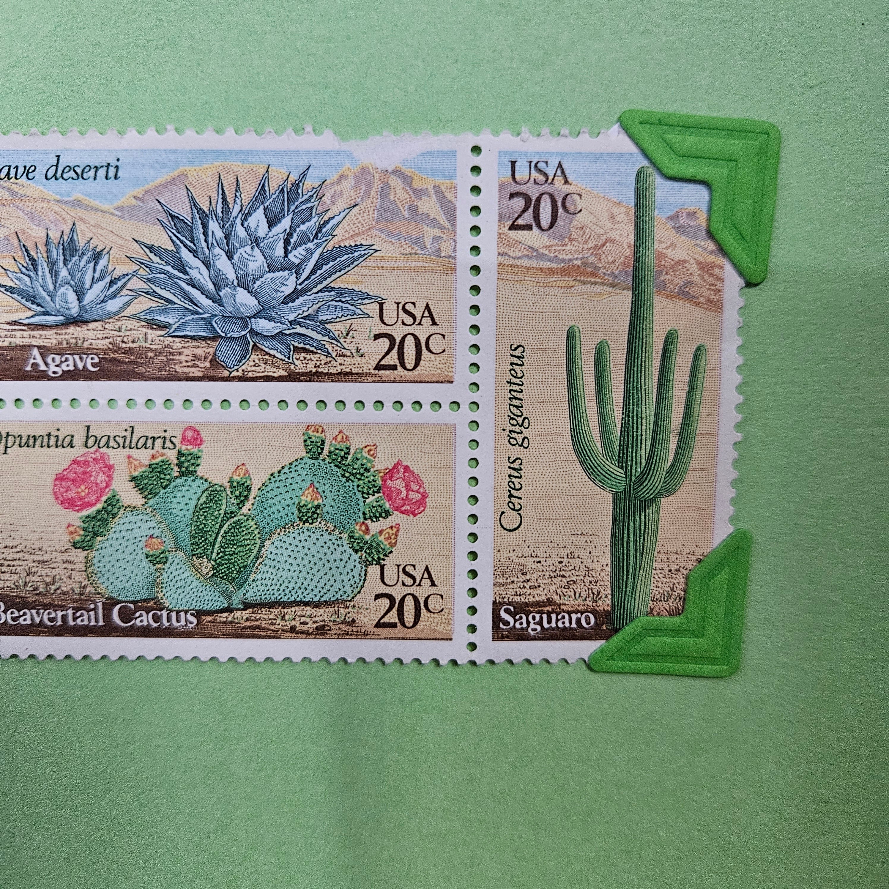 Beautifully Hand Crafted Custom Created Greeting Card Series by Diane Stegman "Cactus Stamps"