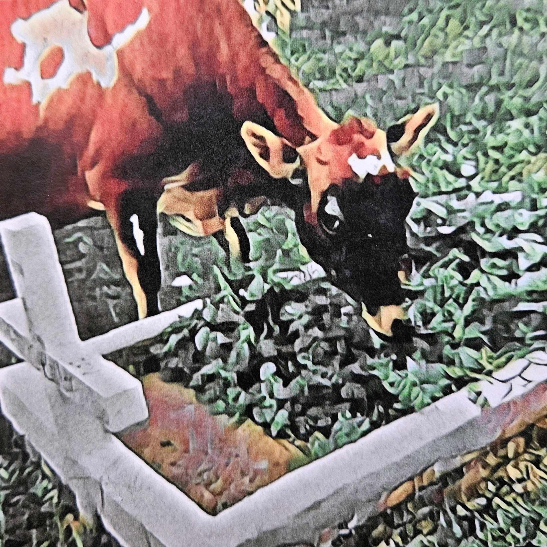 Beautifully Hand Crafted Custom Created Greeting Card Series by Diane Stegman "Happy Cow"