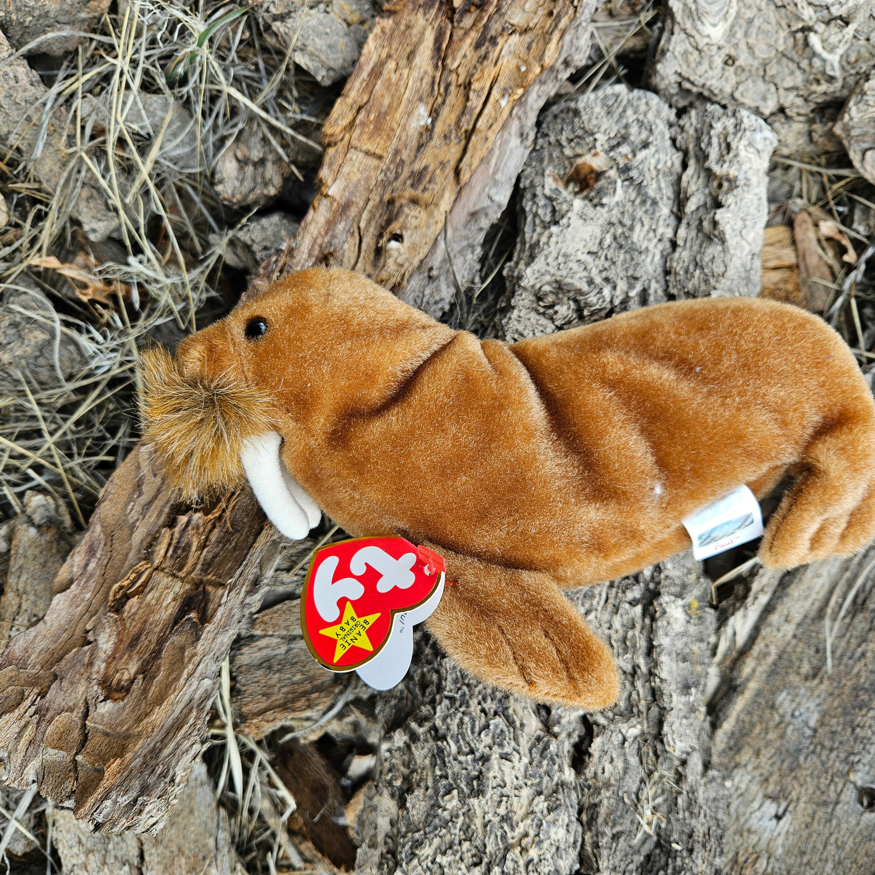Ty Beanie Babies "Paul the Walrus"