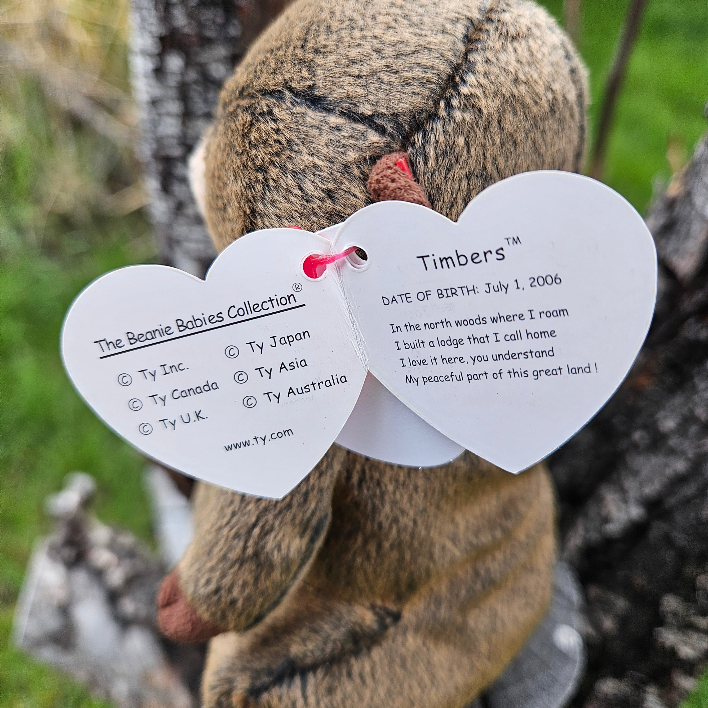 Ty Beanie Babies "Timbers the Beaver"