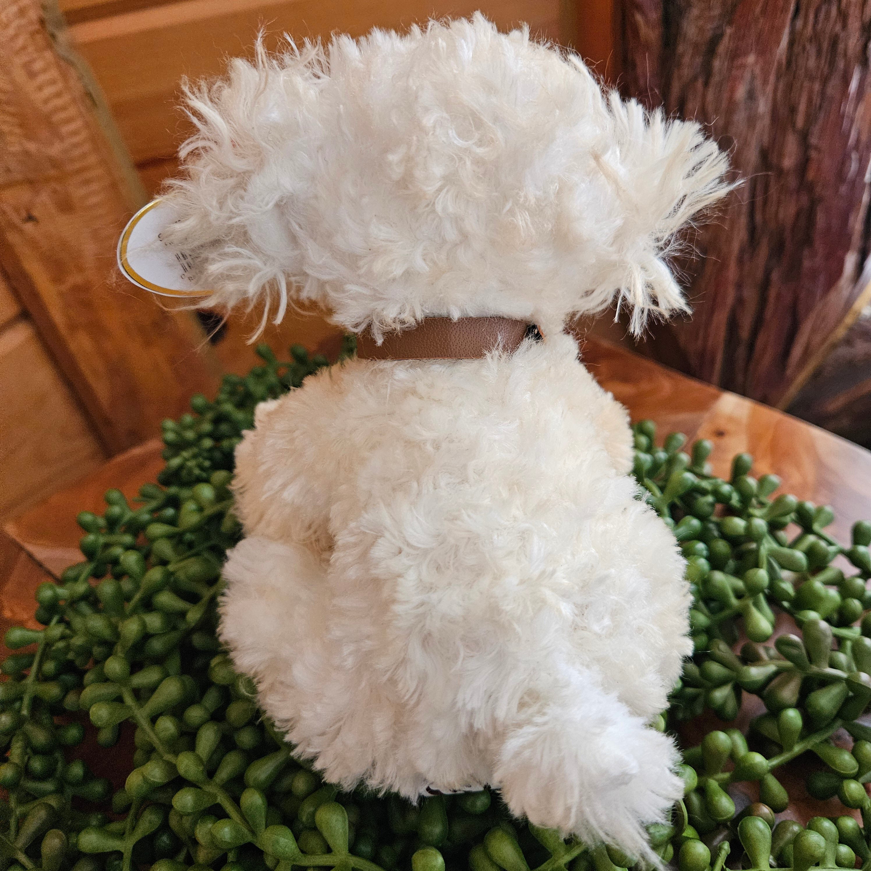 Ty Beanie Babies "Lollipup the Dog"