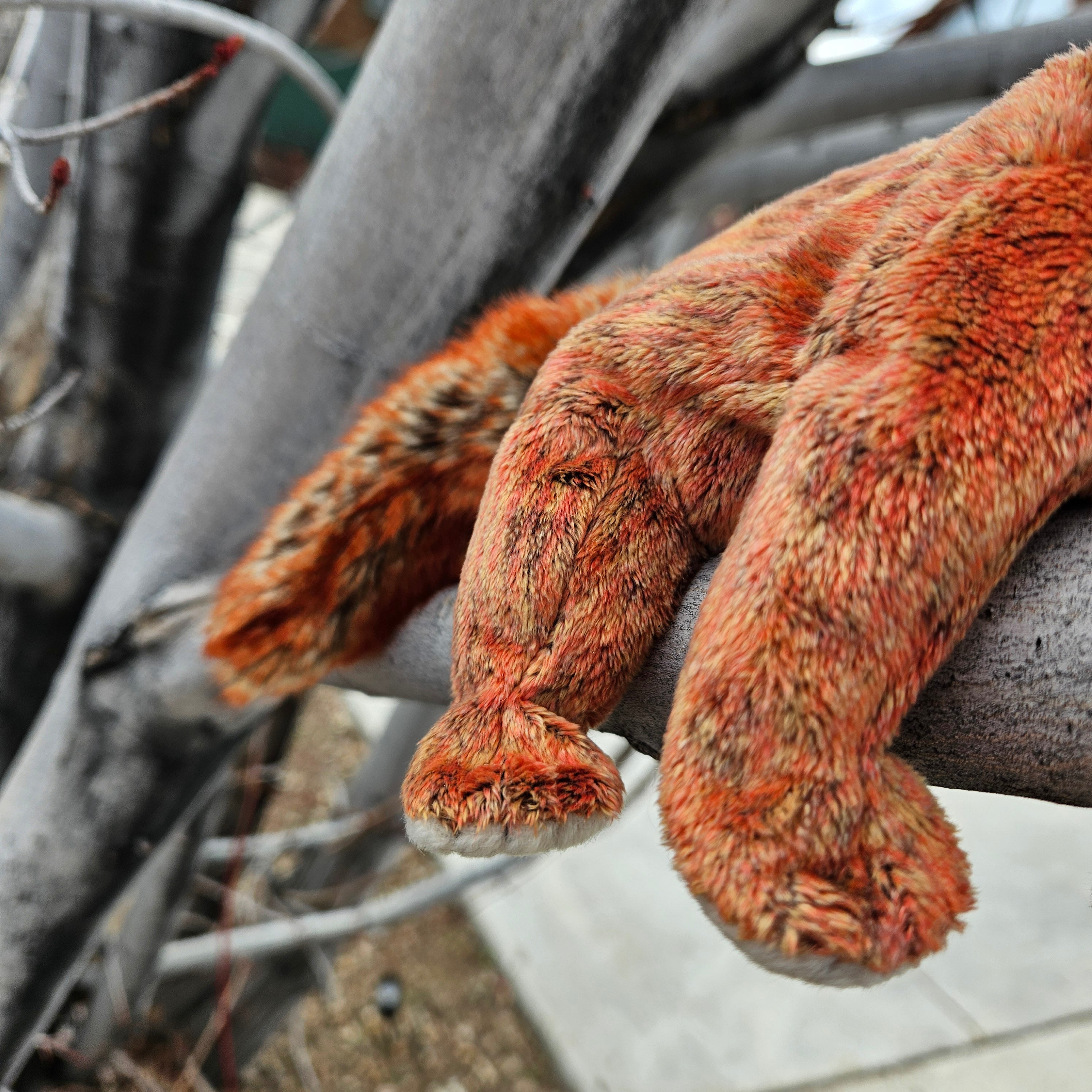 Ty Beanie Babies "Rusty the Red Panda"