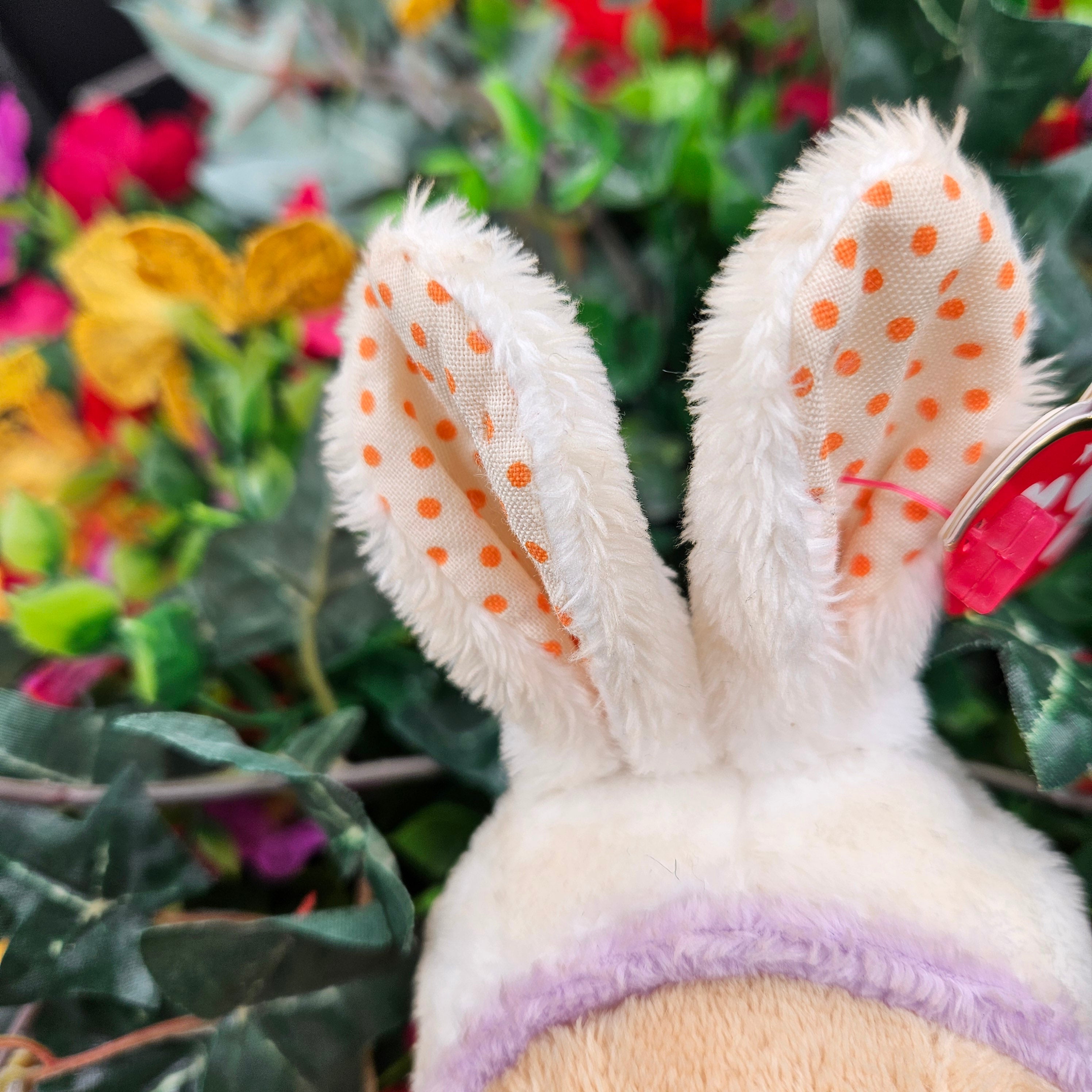 Ty Beanie Babies "Springston the Bunny Eared Bear"