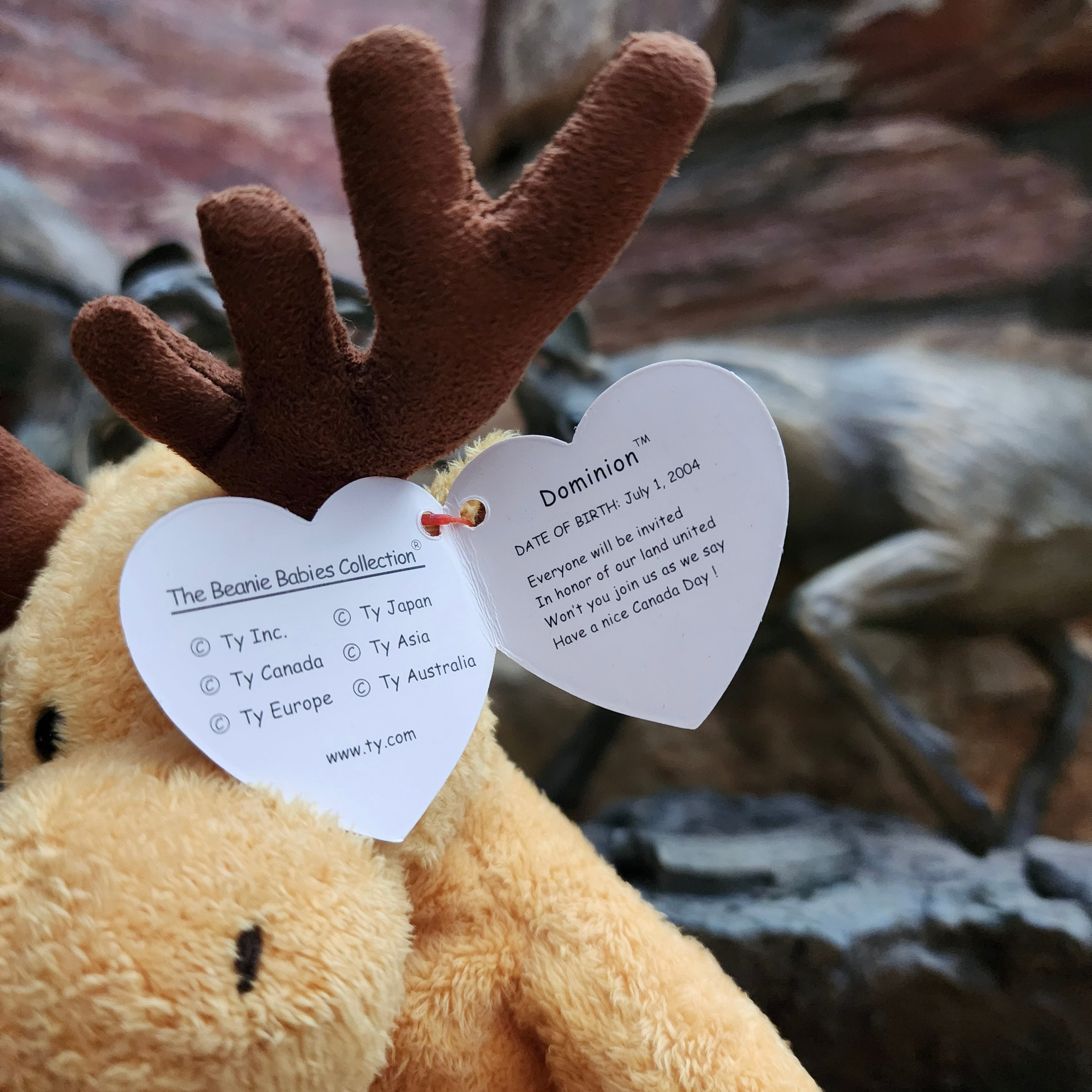 Ty Beanie Babies "Dominion the Moose"