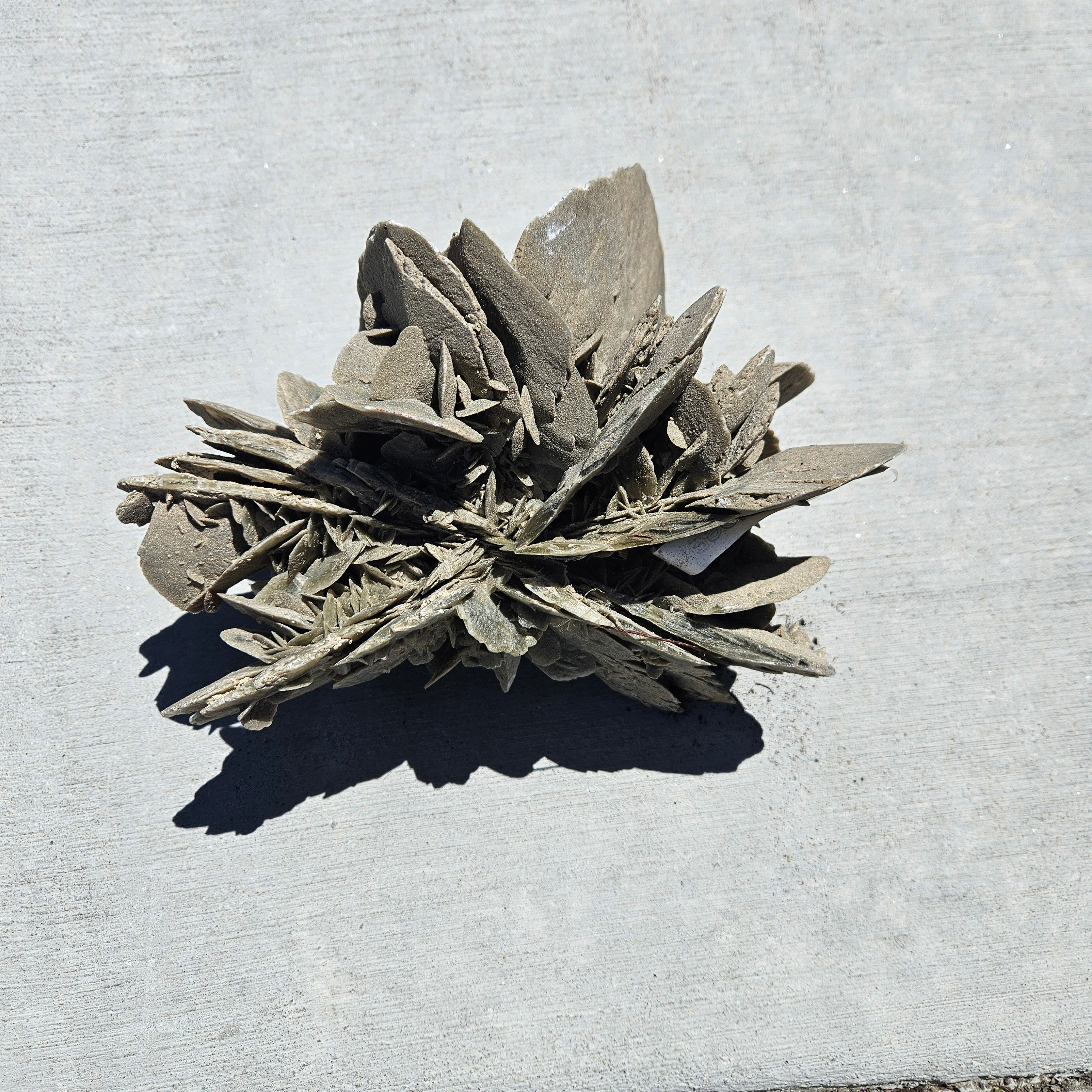 Desert Rose stone Cluster