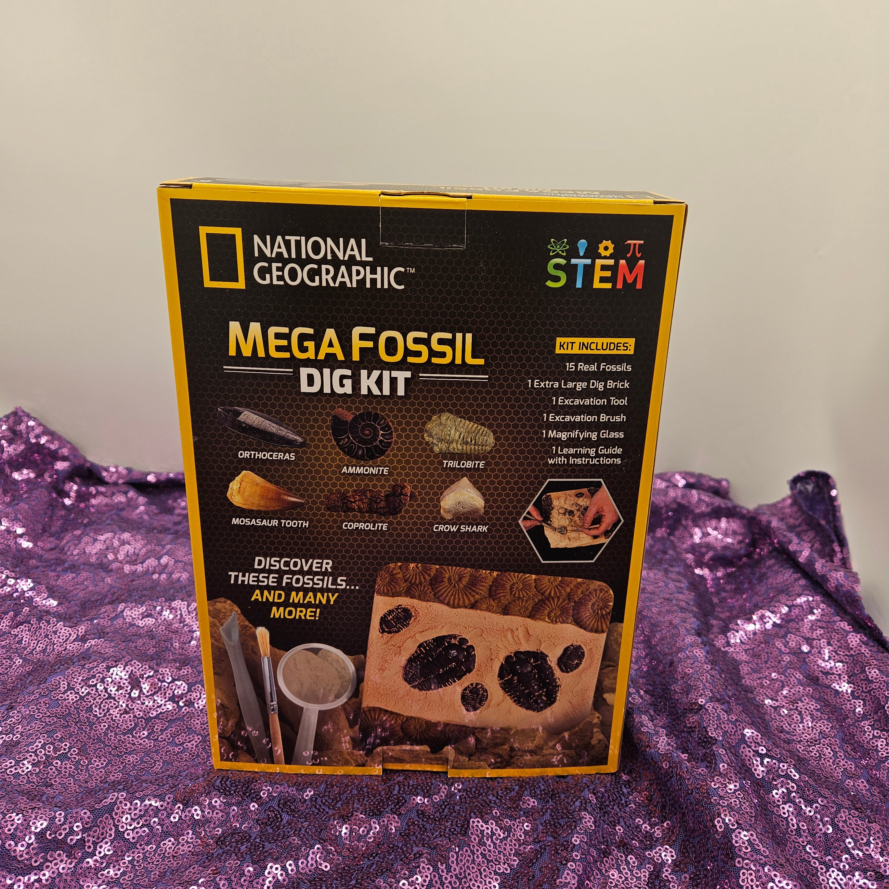 National Geographic Mega Fossil Dig Kit