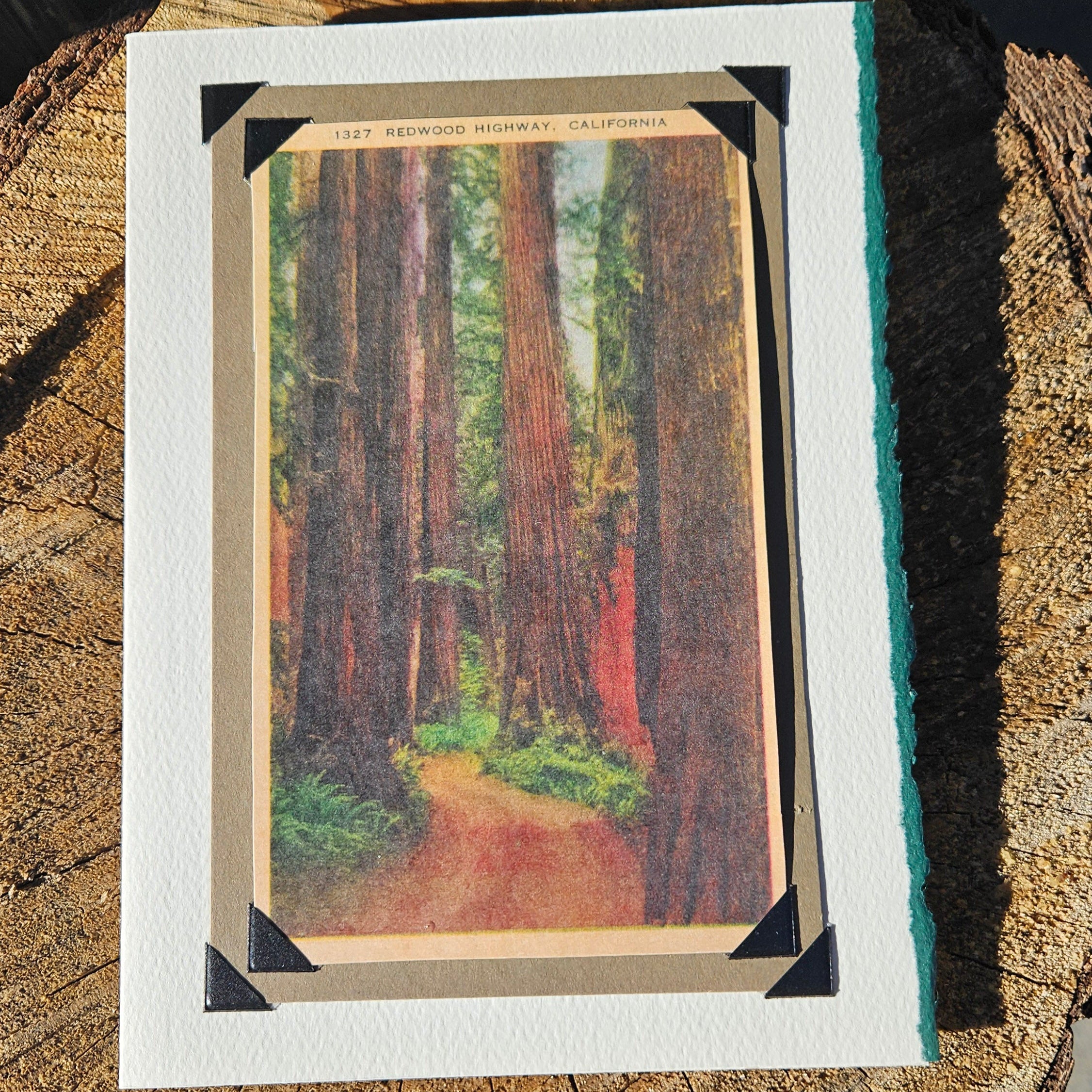 Beautifully Hand Crafted Custom Created Greeting Card Series by Diane Stegman "Redwood Highway, California"