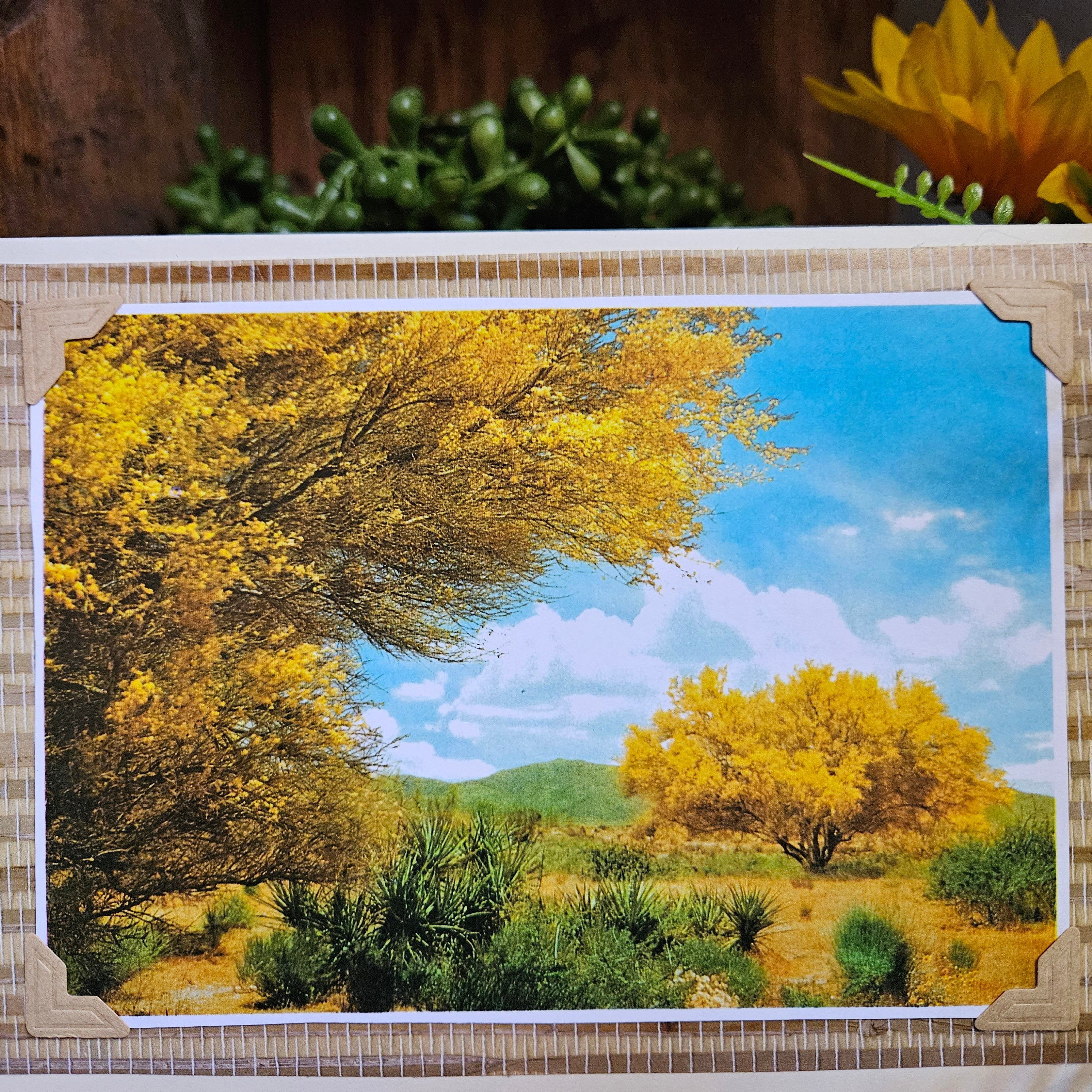 Beautifully Hand Crafted Custom Created Greeting Card Series by Diane Stegman "Palo Verde Bloom"
