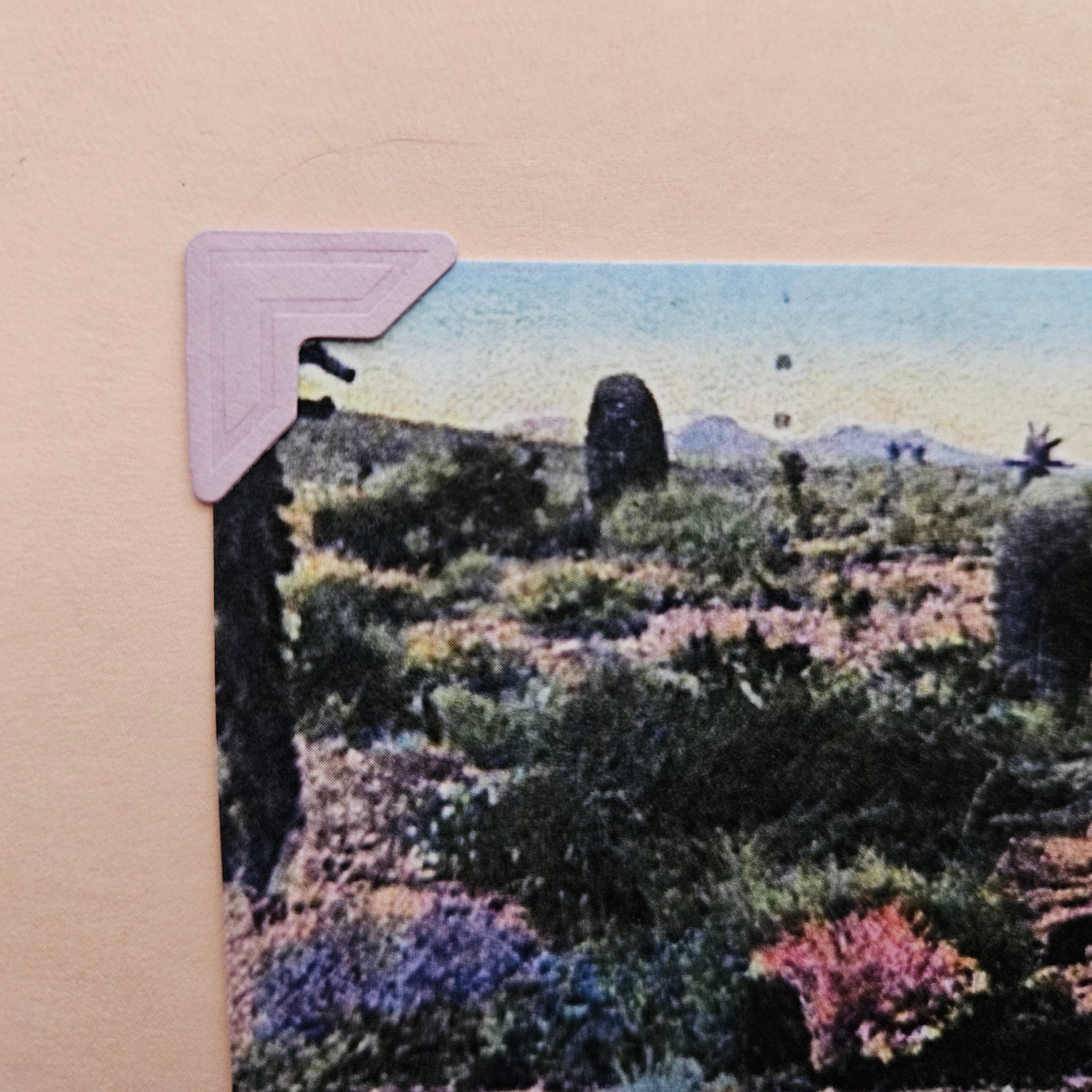 Beautifully Hand Crafted Custom Created Greeting Card Series by Diane Stegman "The Devil's Garden"