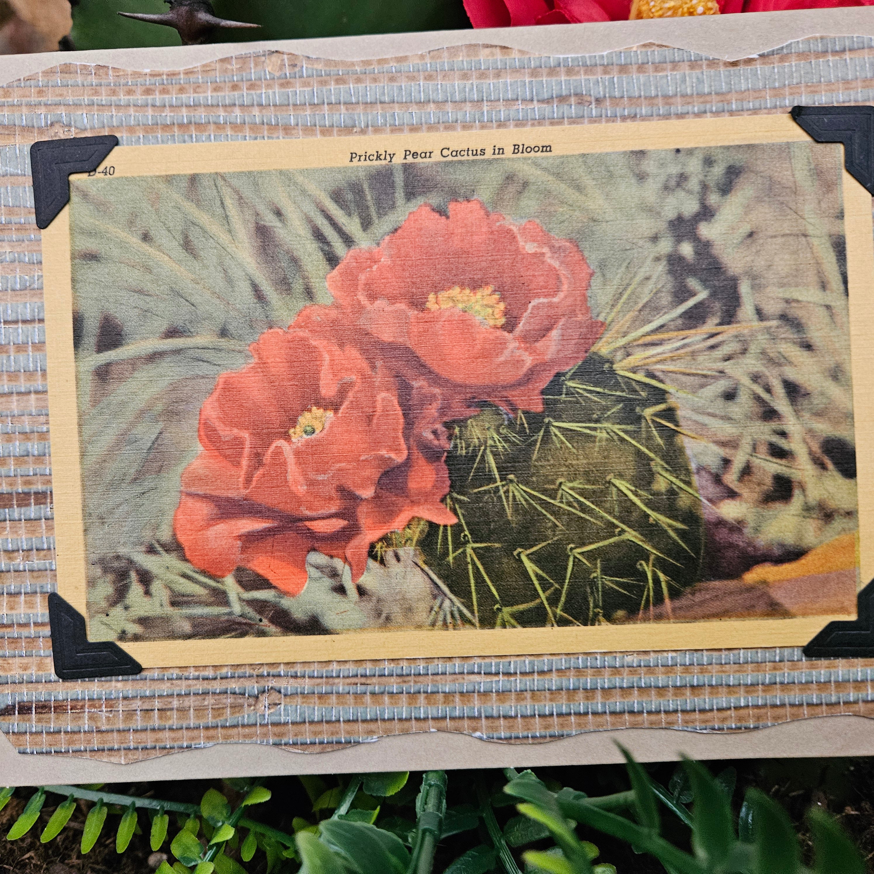Beautifully Hand Crafted Custom Created Greeting Card Series by Diane Stegman "Prickly Pear Cactus in Bloom"