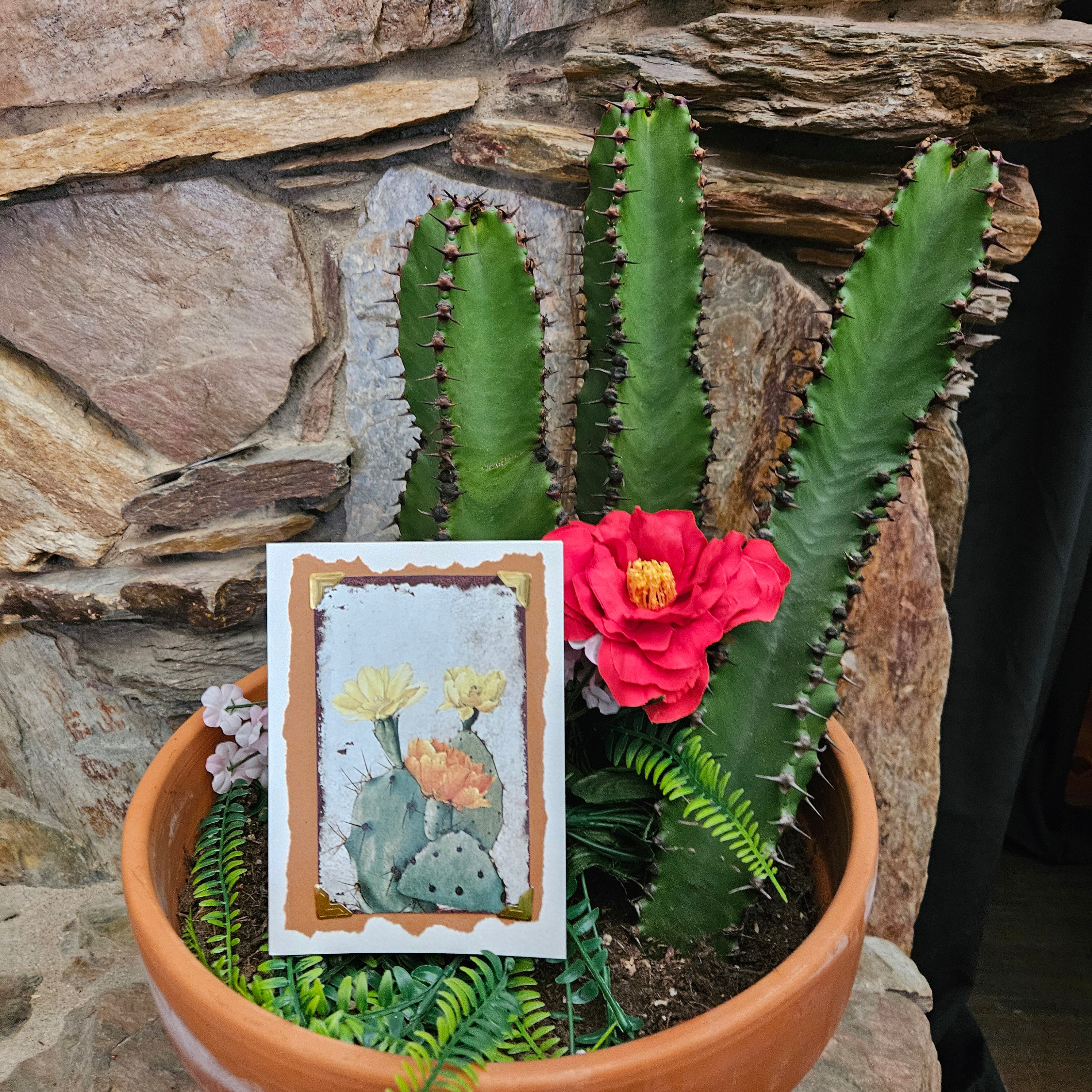 Beautifully Hand Crafted Custom Created Greeting Card Series by Diane Stegman "Prickly Pear Cactus"