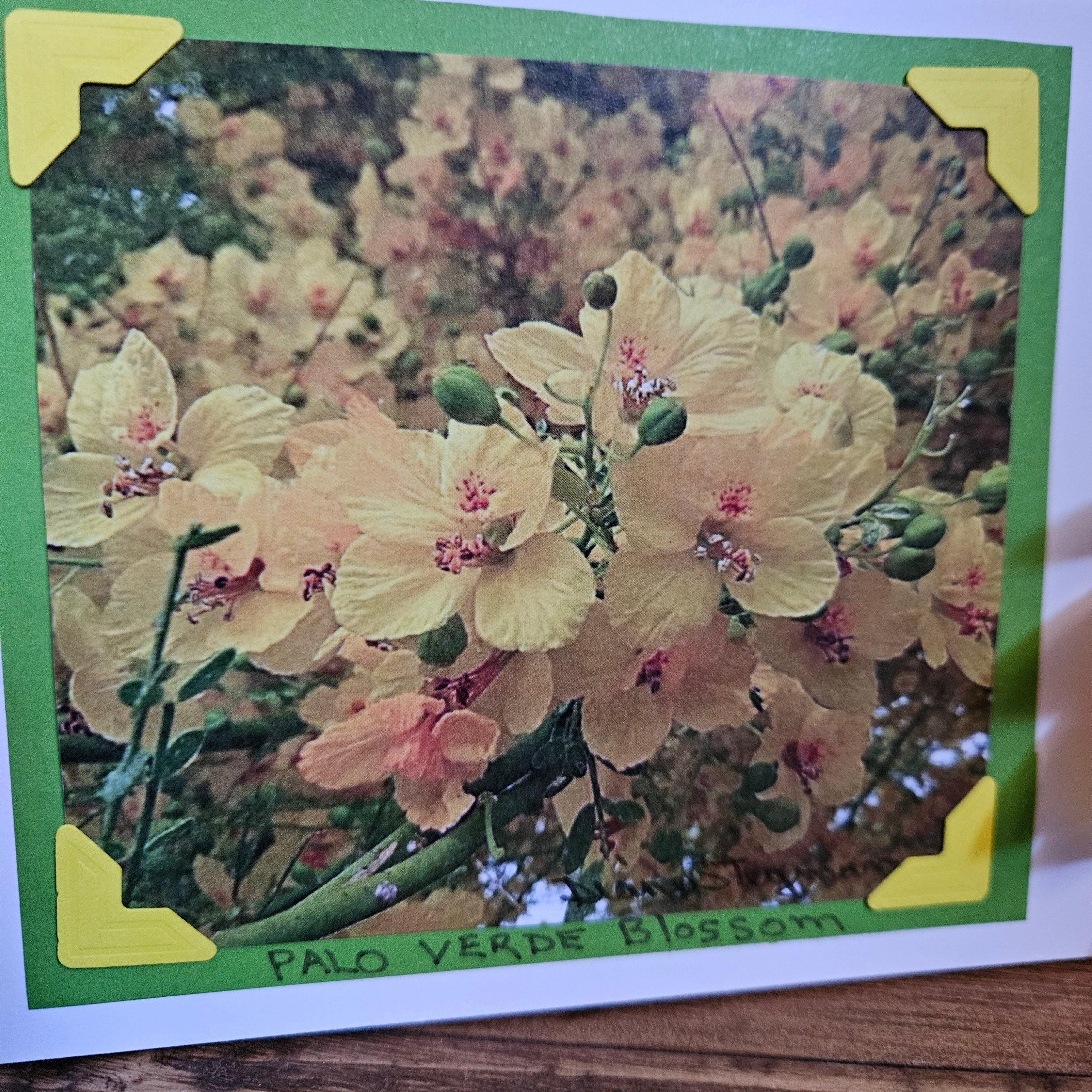 Beautifully Hand Crafted Custom Created Greeting Card Series by Diane Stegman "Palo Verde Blossom"