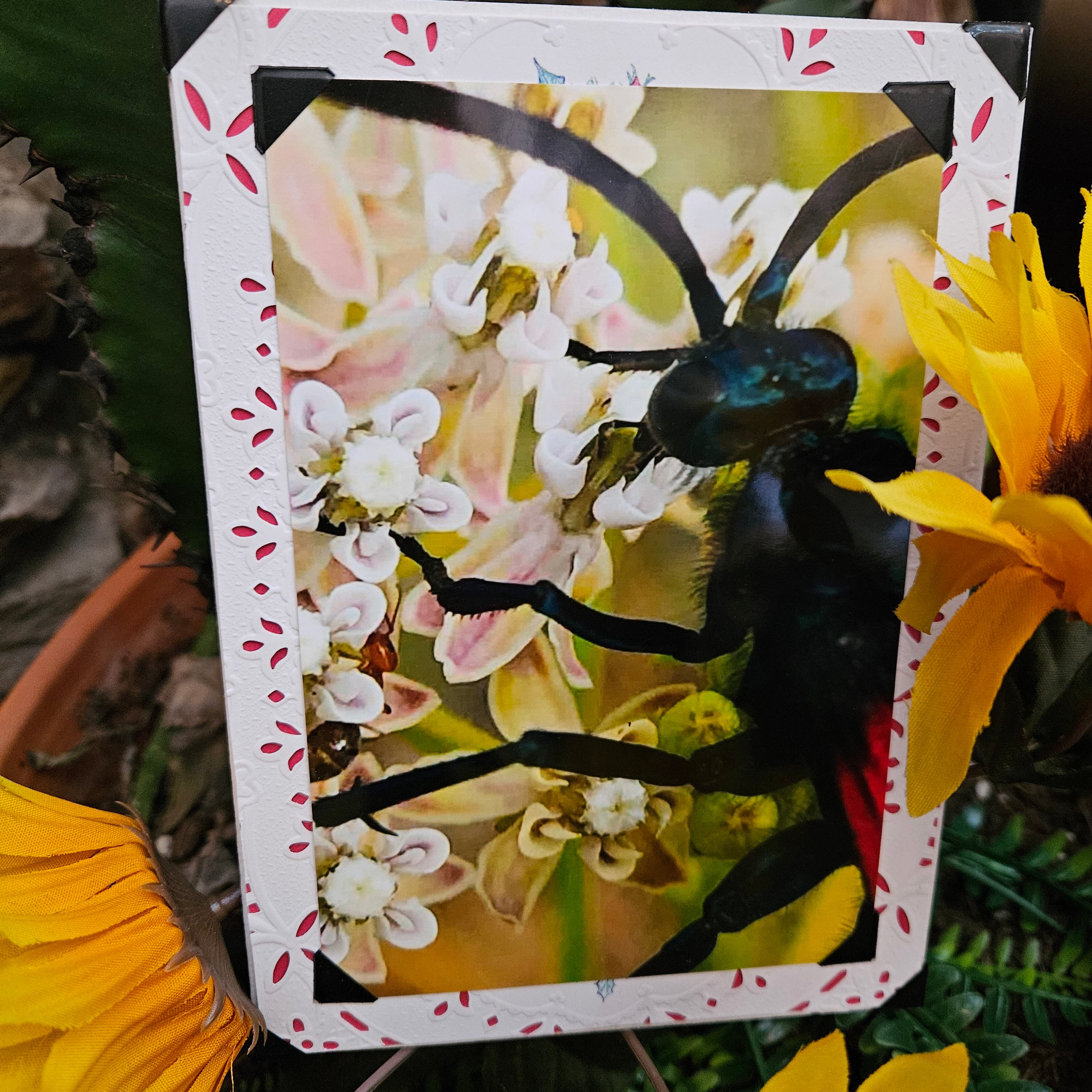 Beautifully Hand Crafted Custom Created Greeting Card Series by Diane Stegman "Tarantula Hawk"